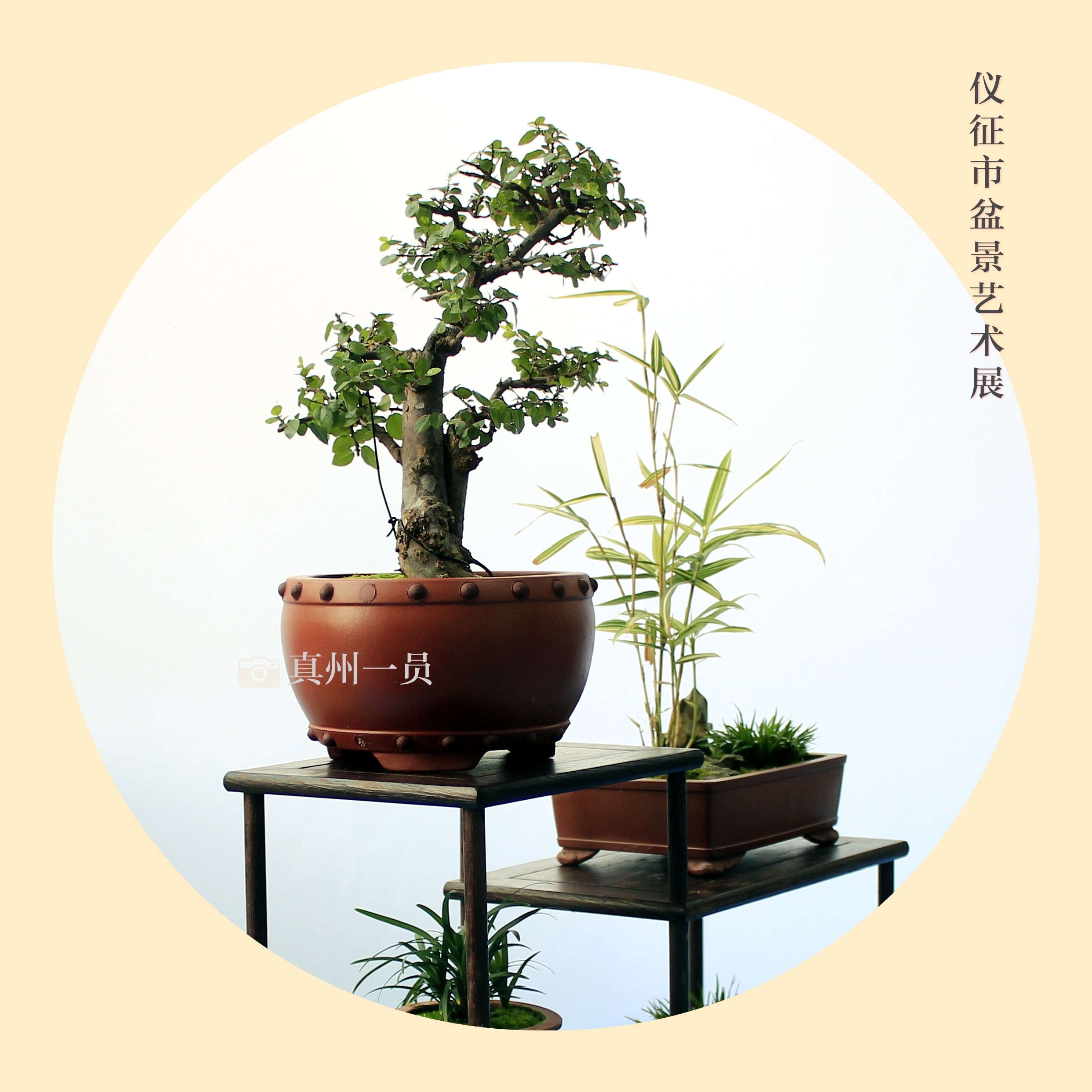 _MG_6765_mix01.jpg