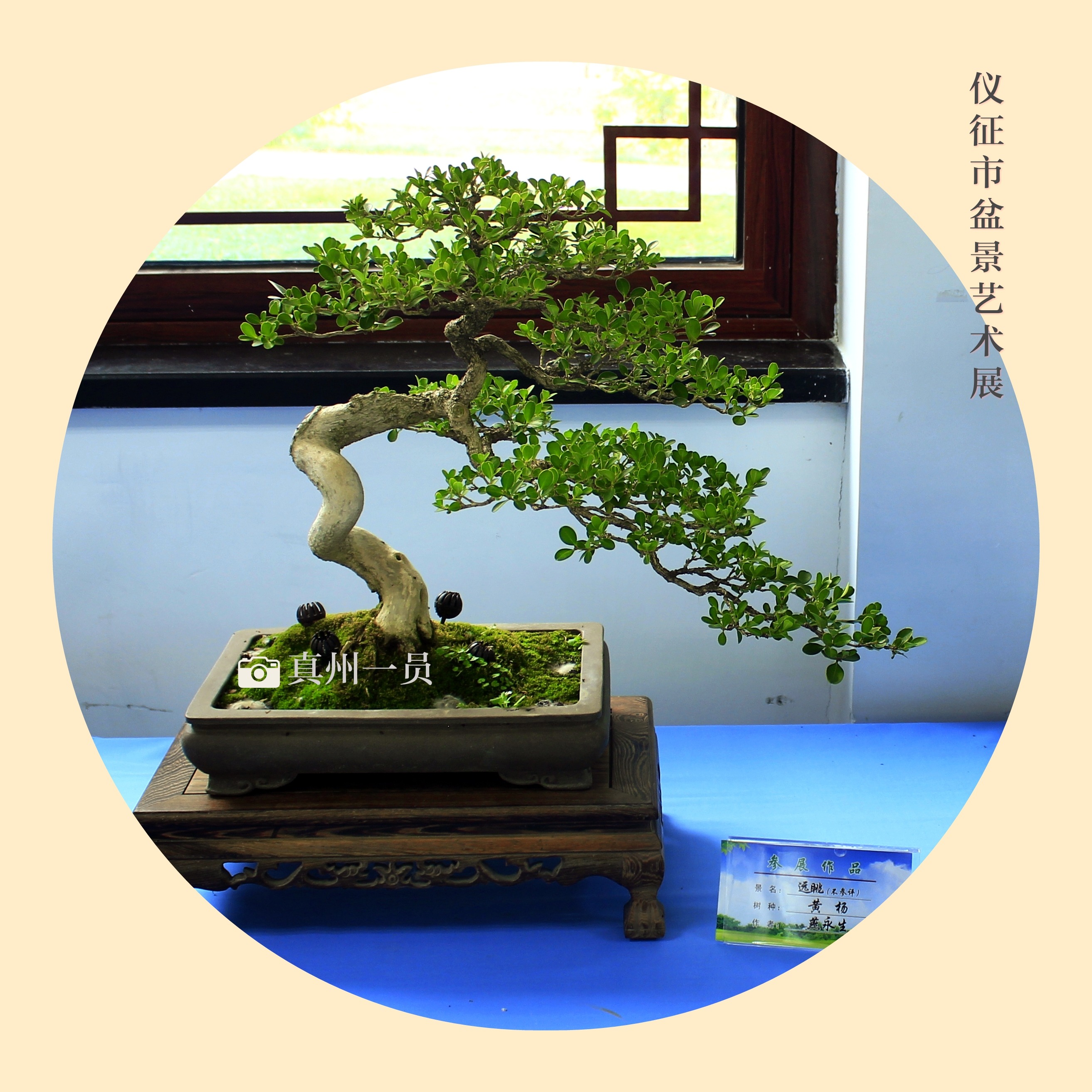 _MG_6746_mix01.jpg