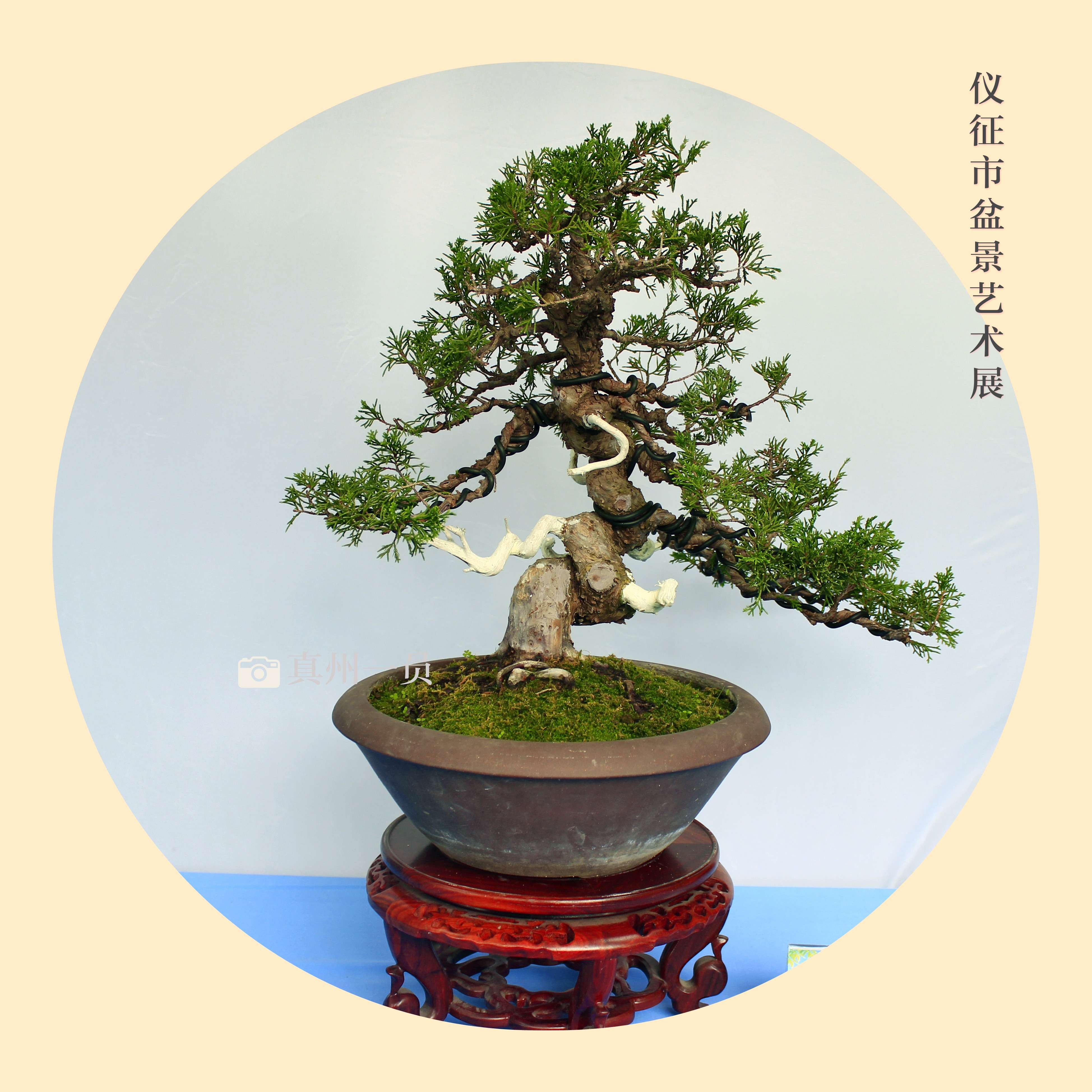 _MG_6760_mix01.jpg