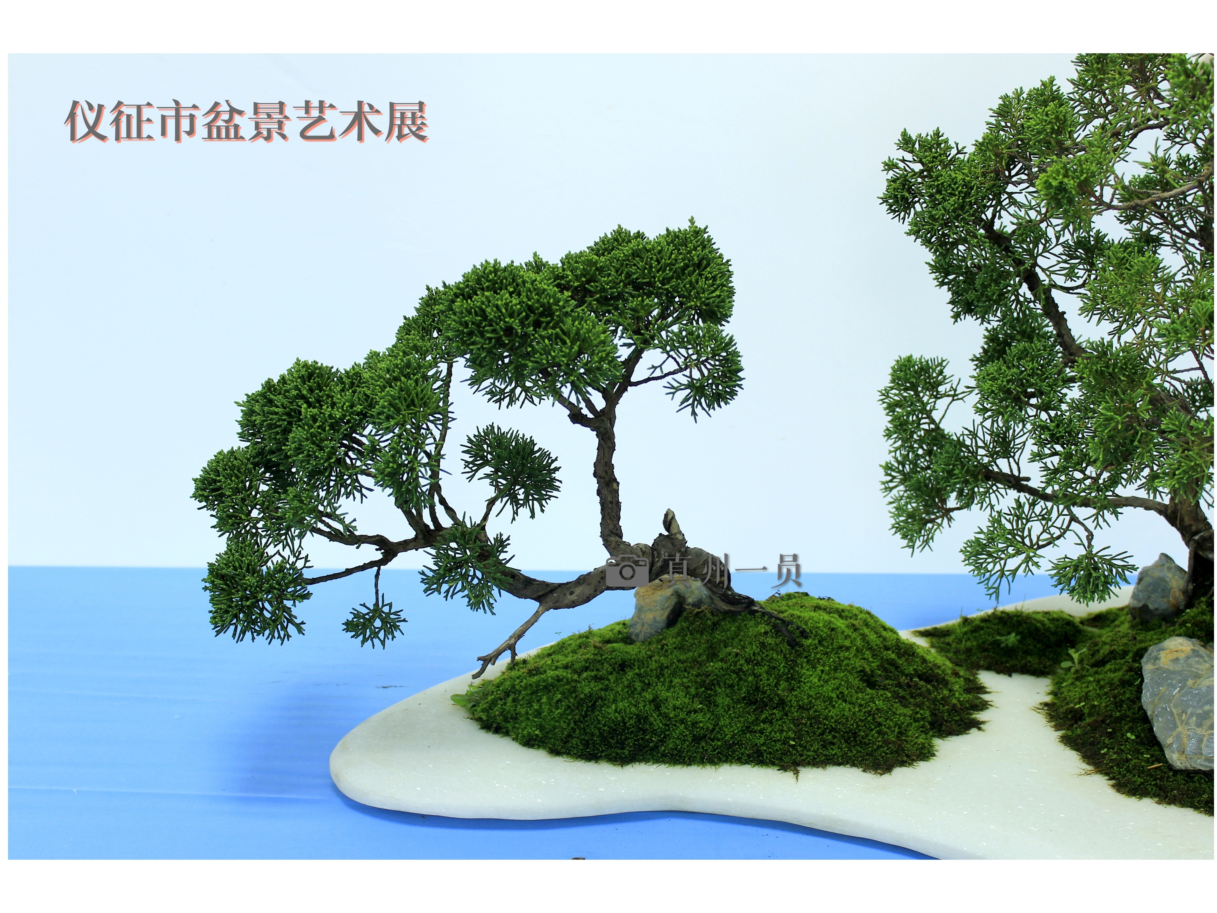 _MG_6751_mix01.jpg