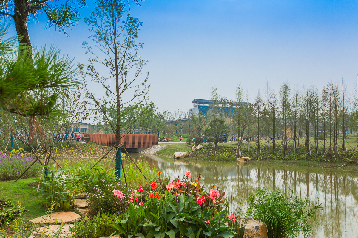 4G7A9065.jpg