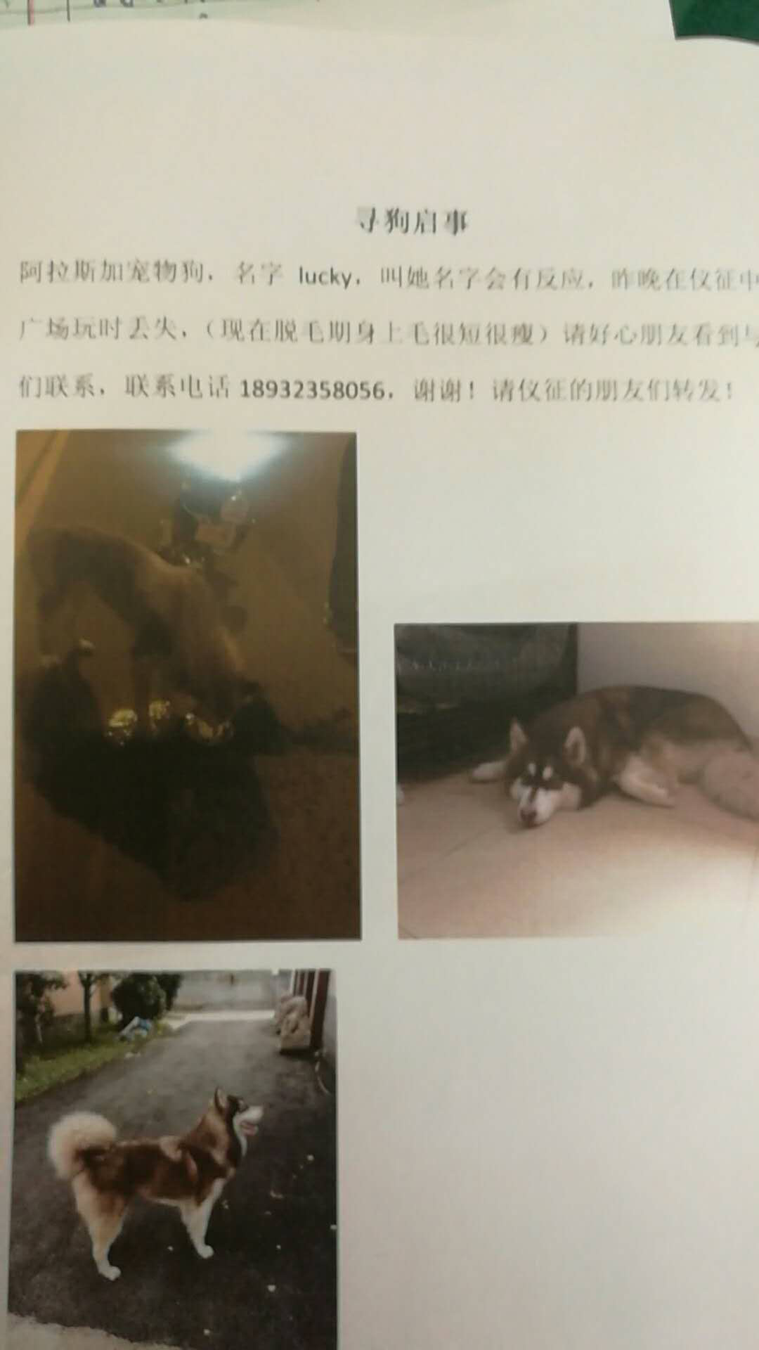 BCECE3F2-D47C-4CEB-A434-A91E98AC652F.png
