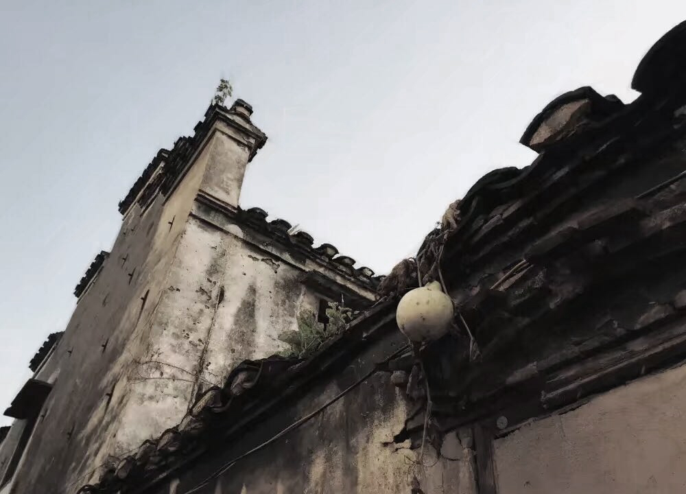 微信图片_20181011105025.jpg
