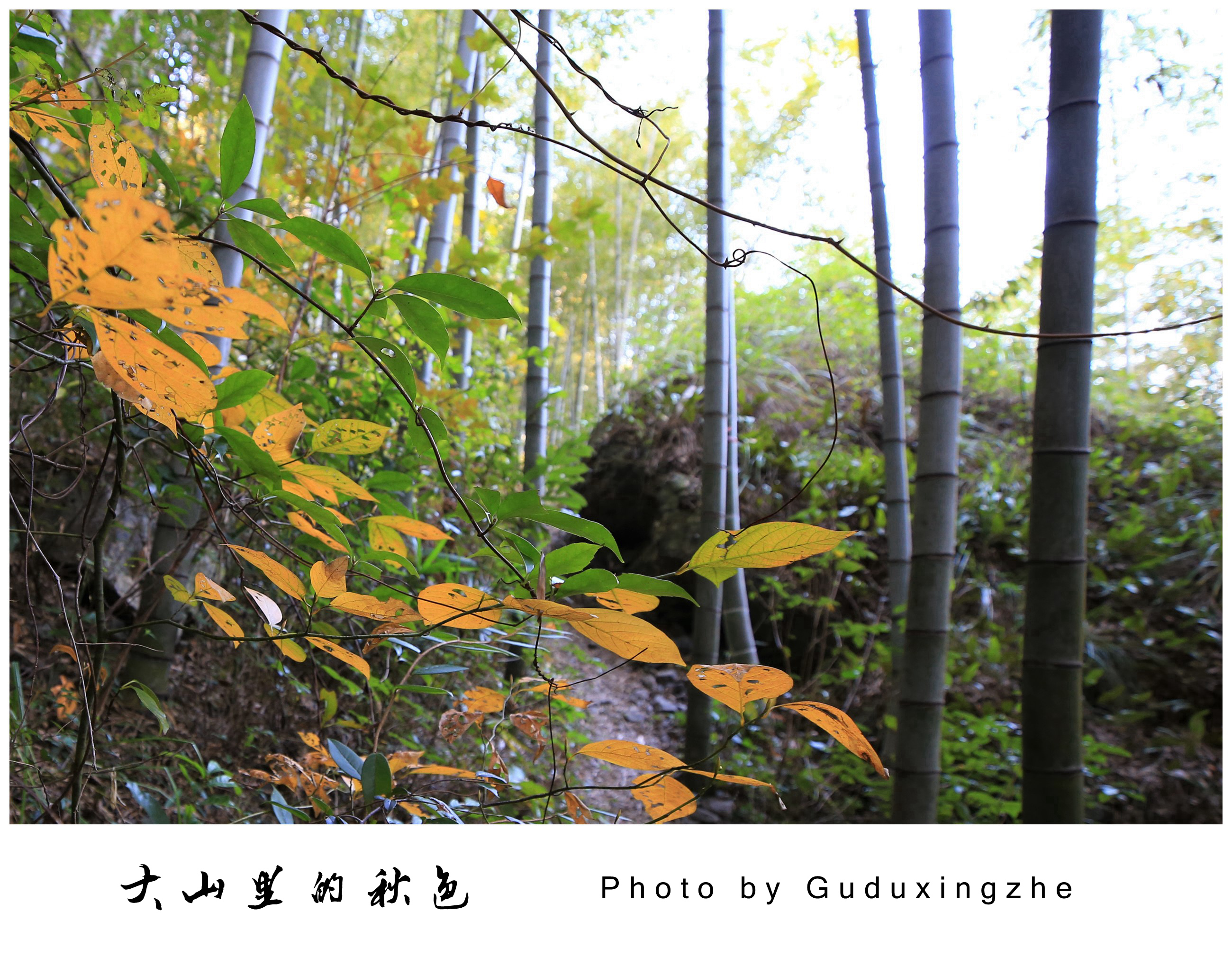 IMG_8506_副本_副本.jpg