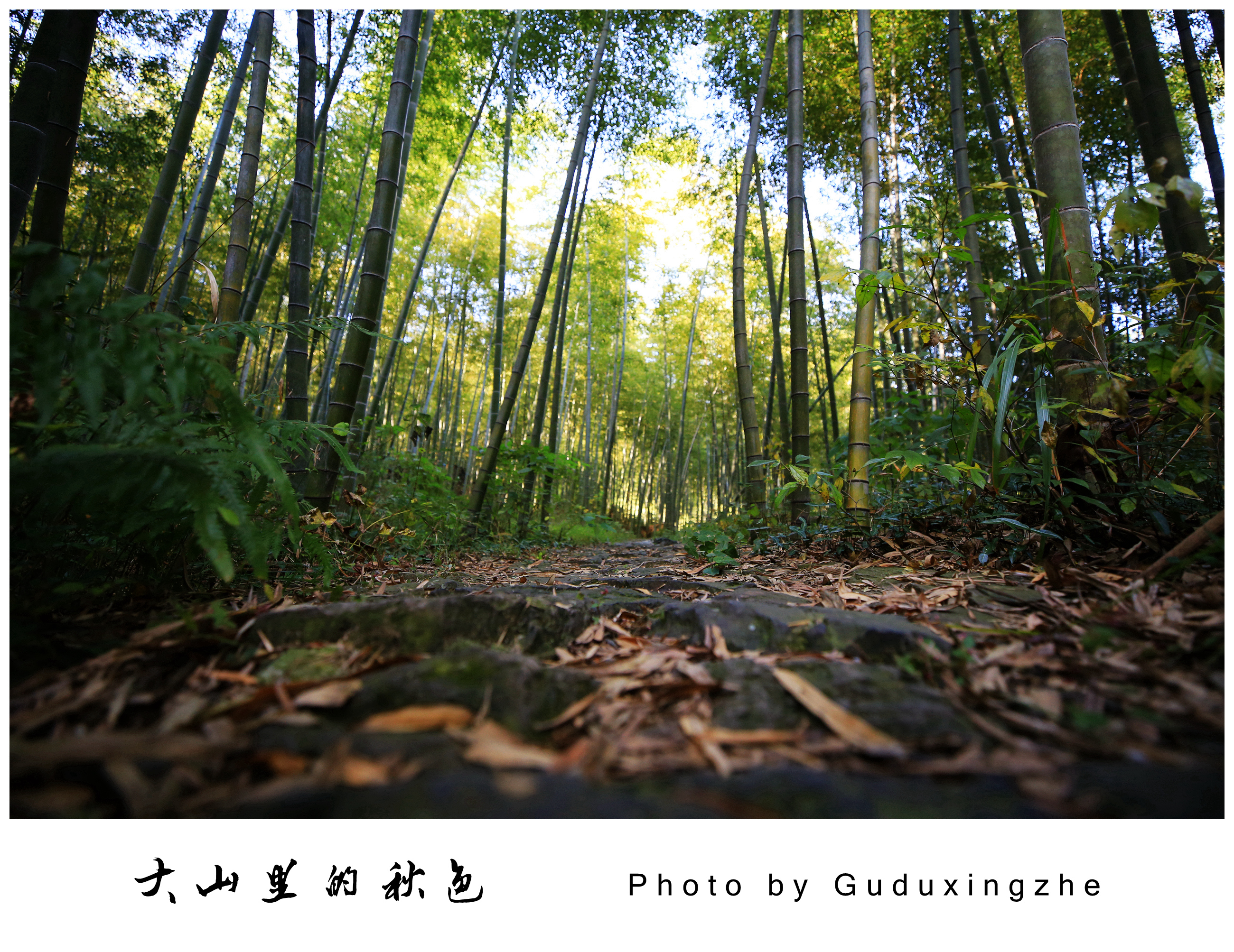 IMG_8546_副本_副本.jpg