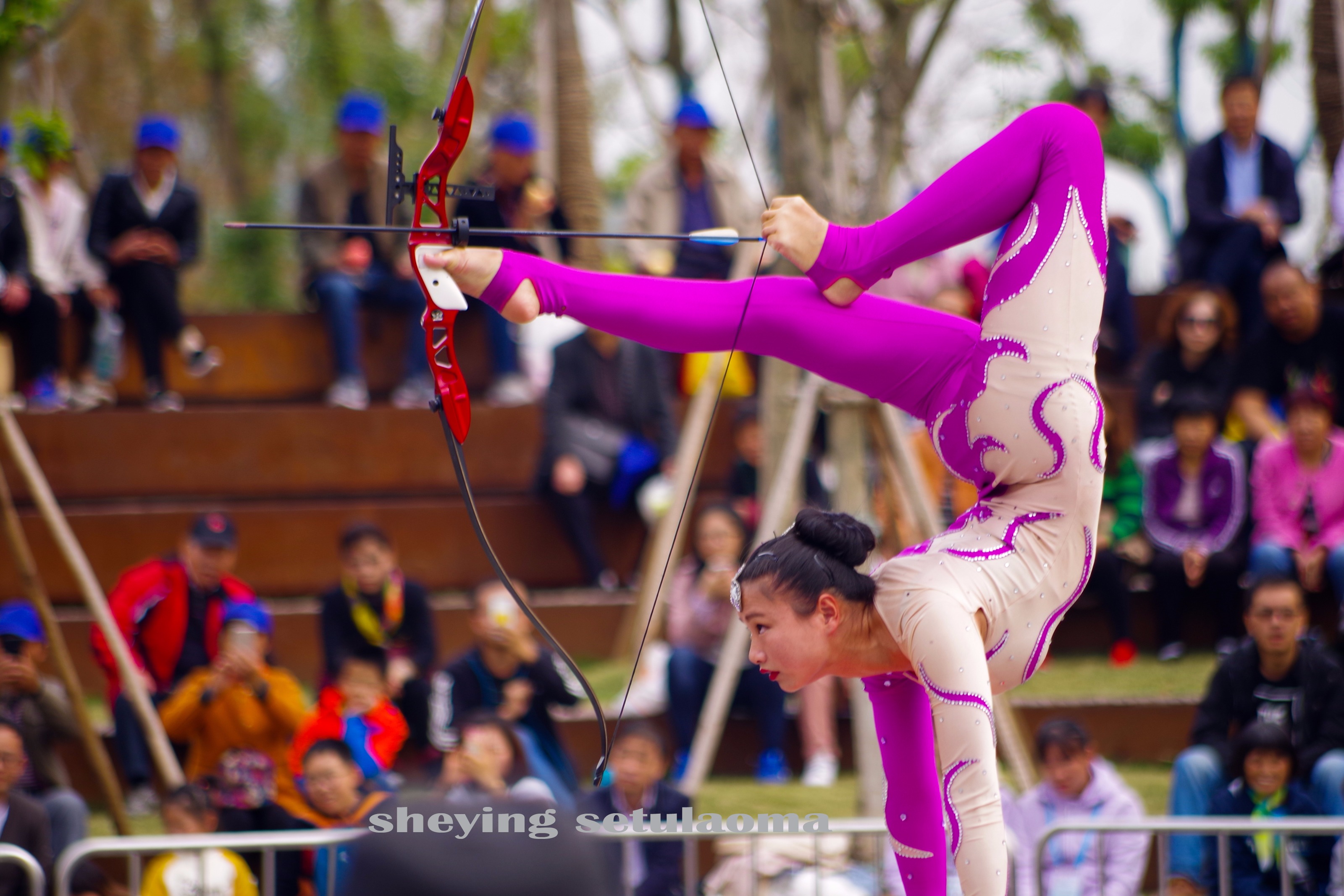 IMGP8596ccv.jpg