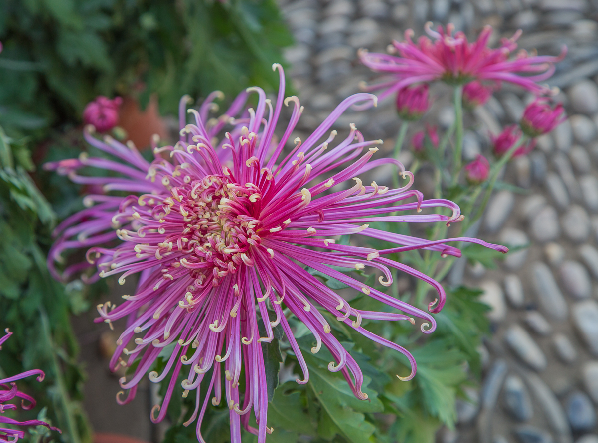 4G7A0880.jpg
