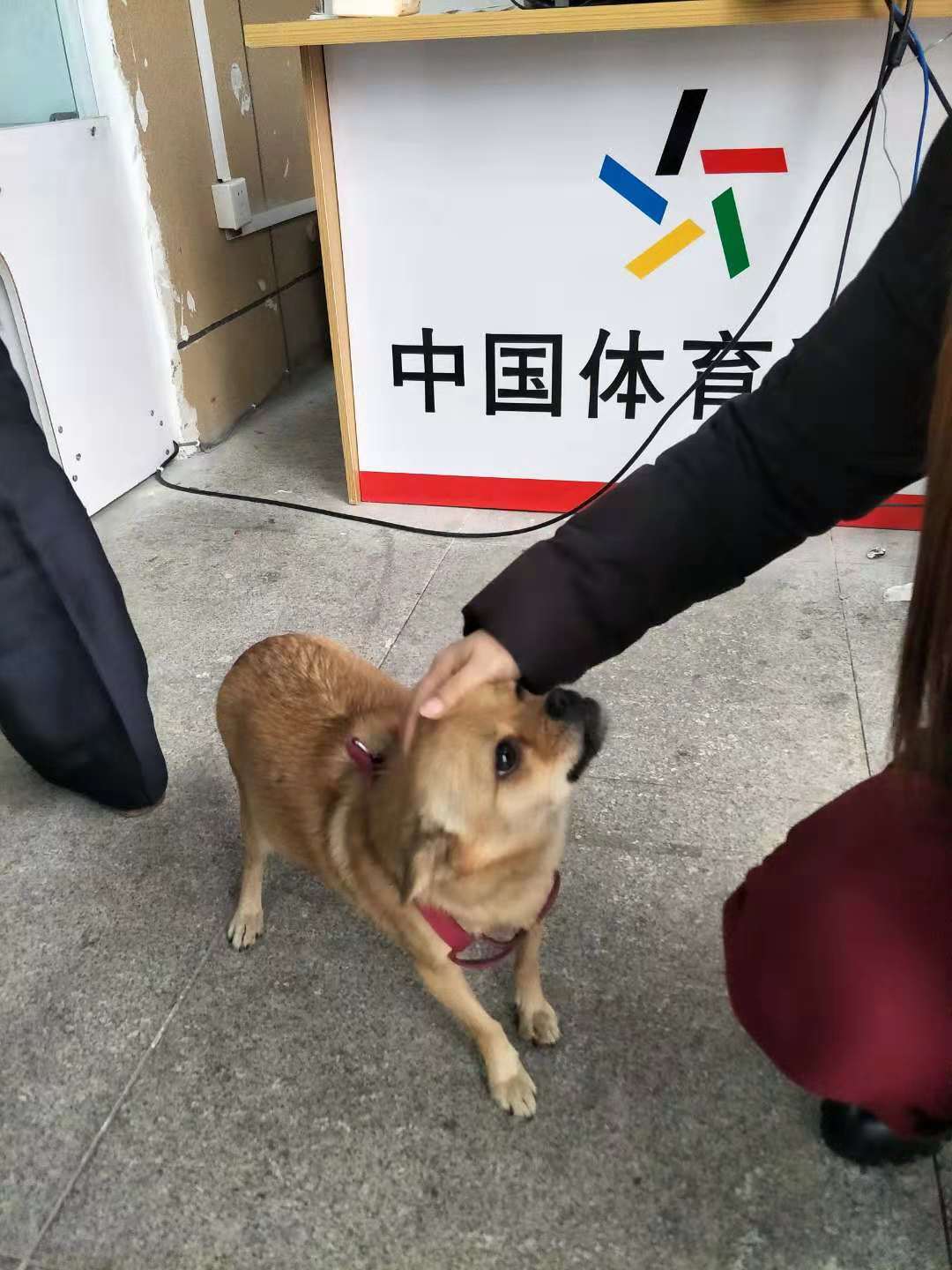 微信图片_20181123085419.jpg