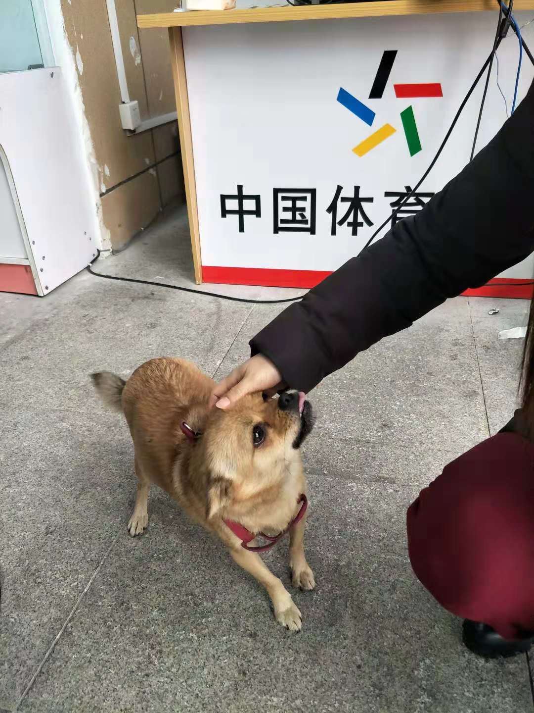 微信图片_20181123085429.jpg