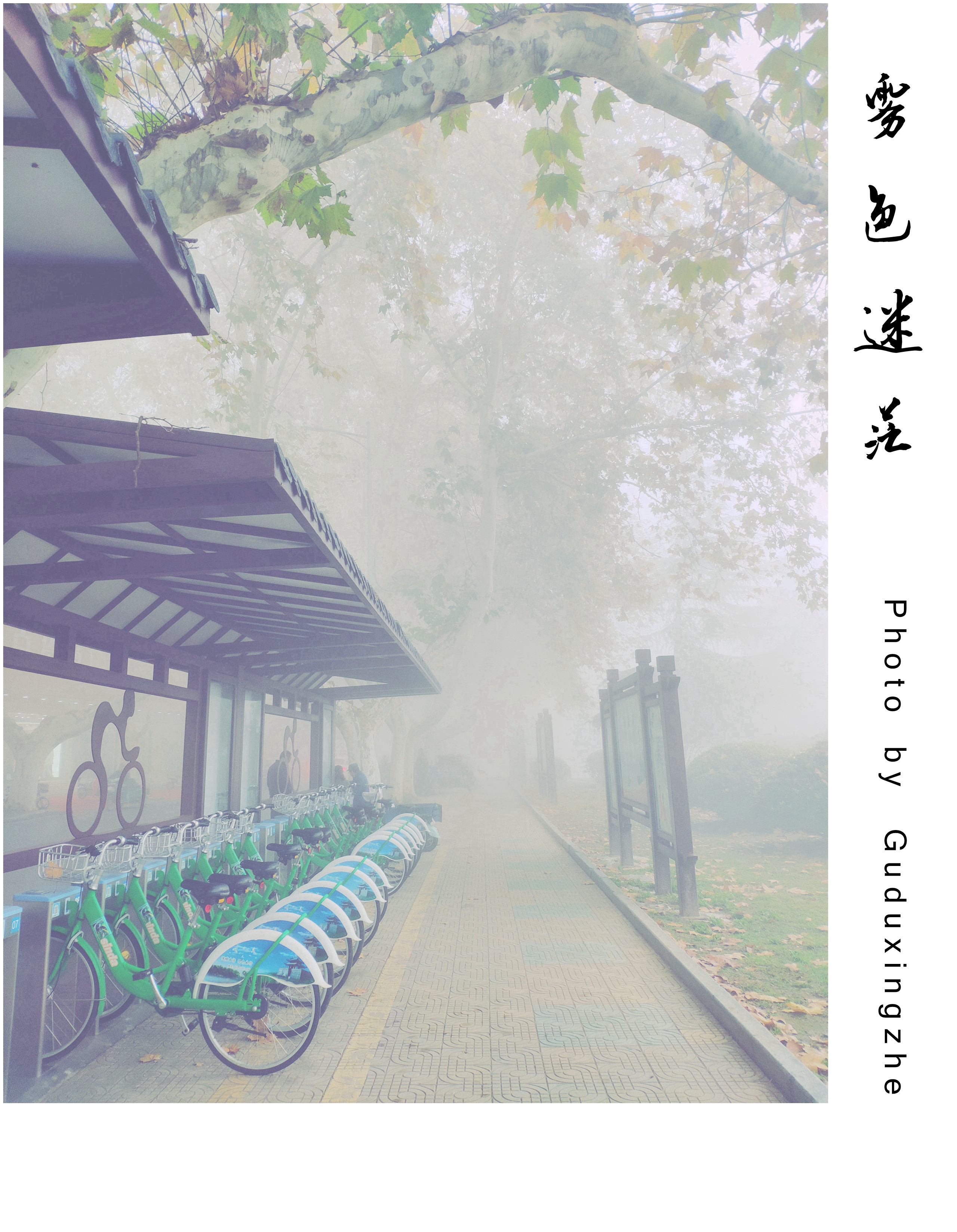 微信图片_201811261327084_副本.jpg