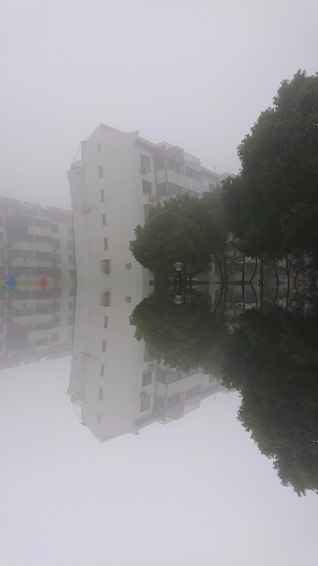 DSC_0327.JPG