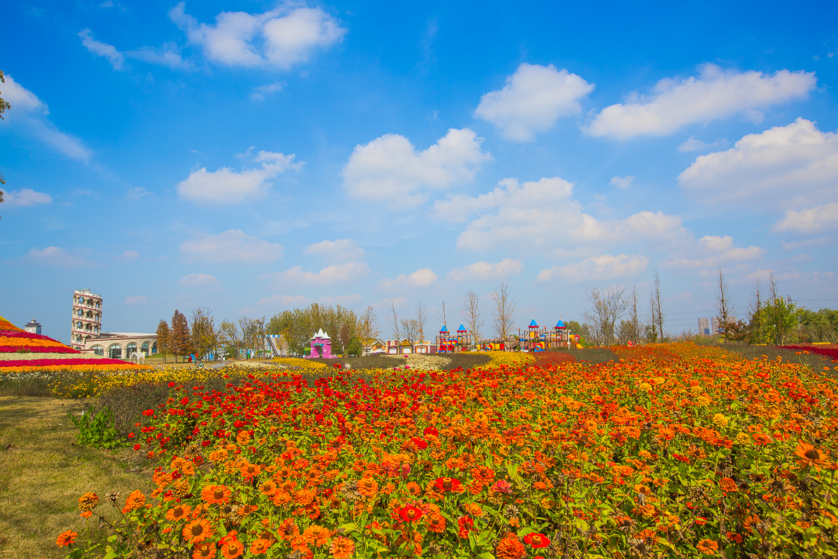 4G7A1124.jpg