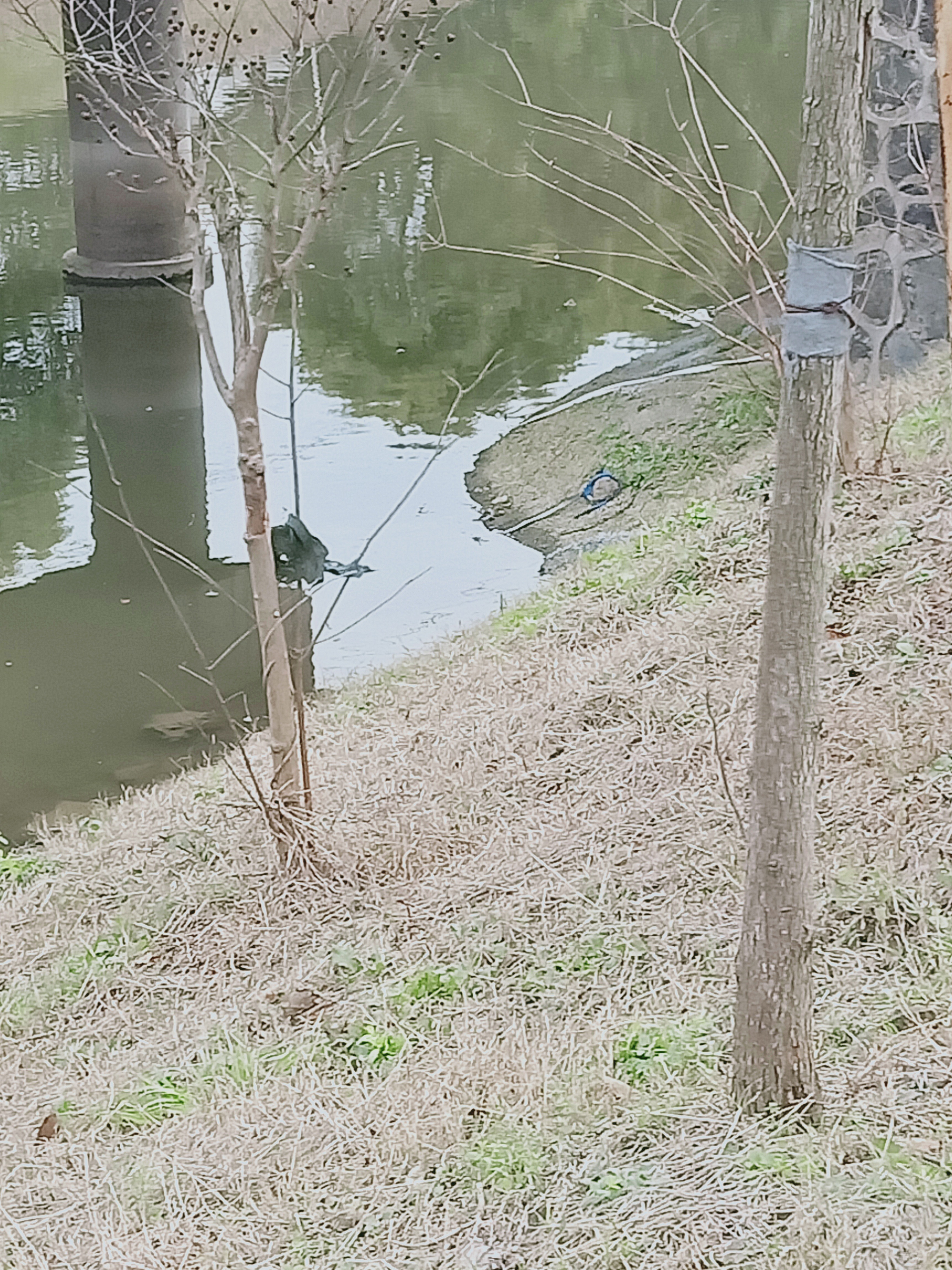 IMG20181208134311.jpg