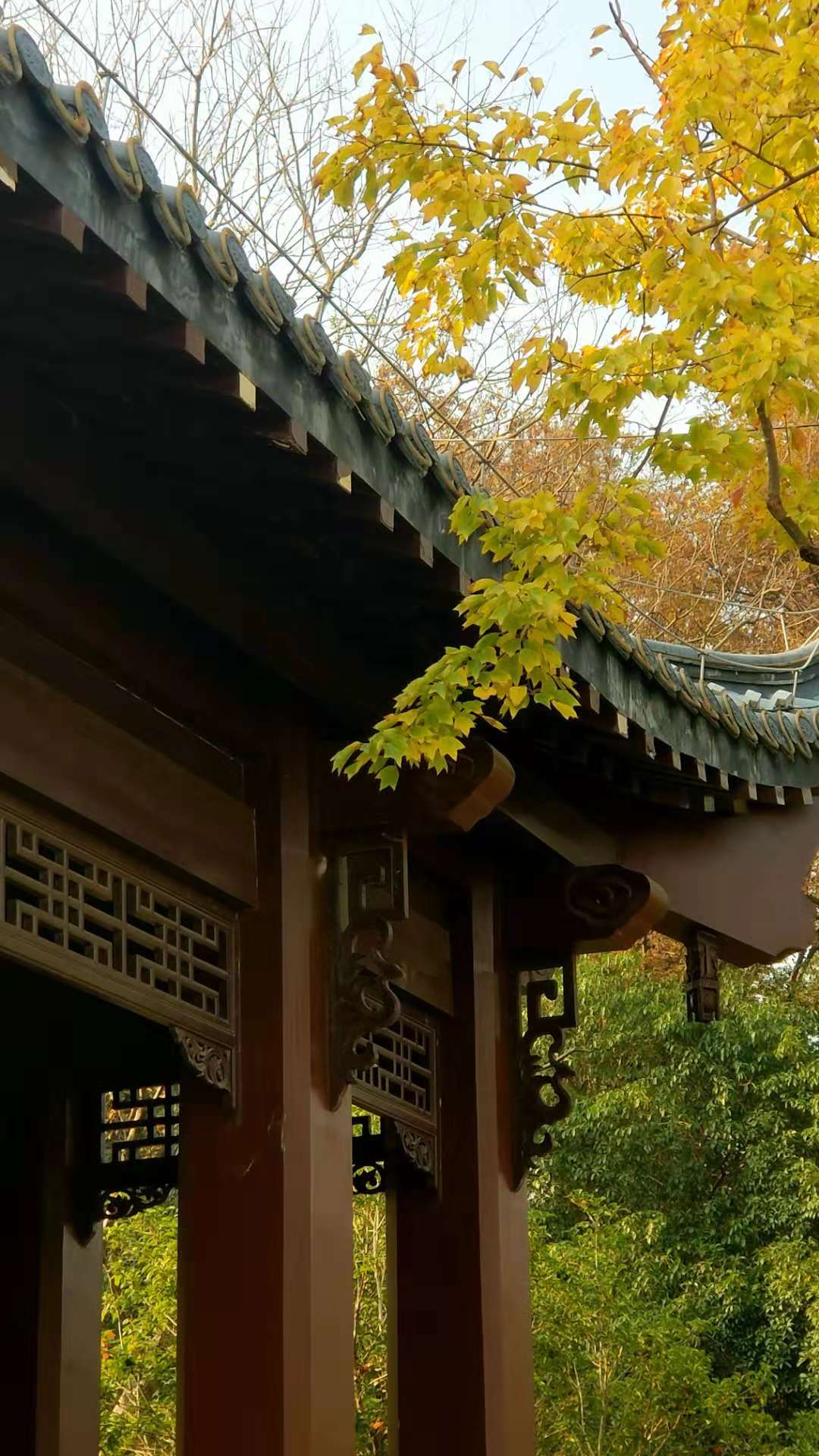 微信图片_20181208092240.jpg