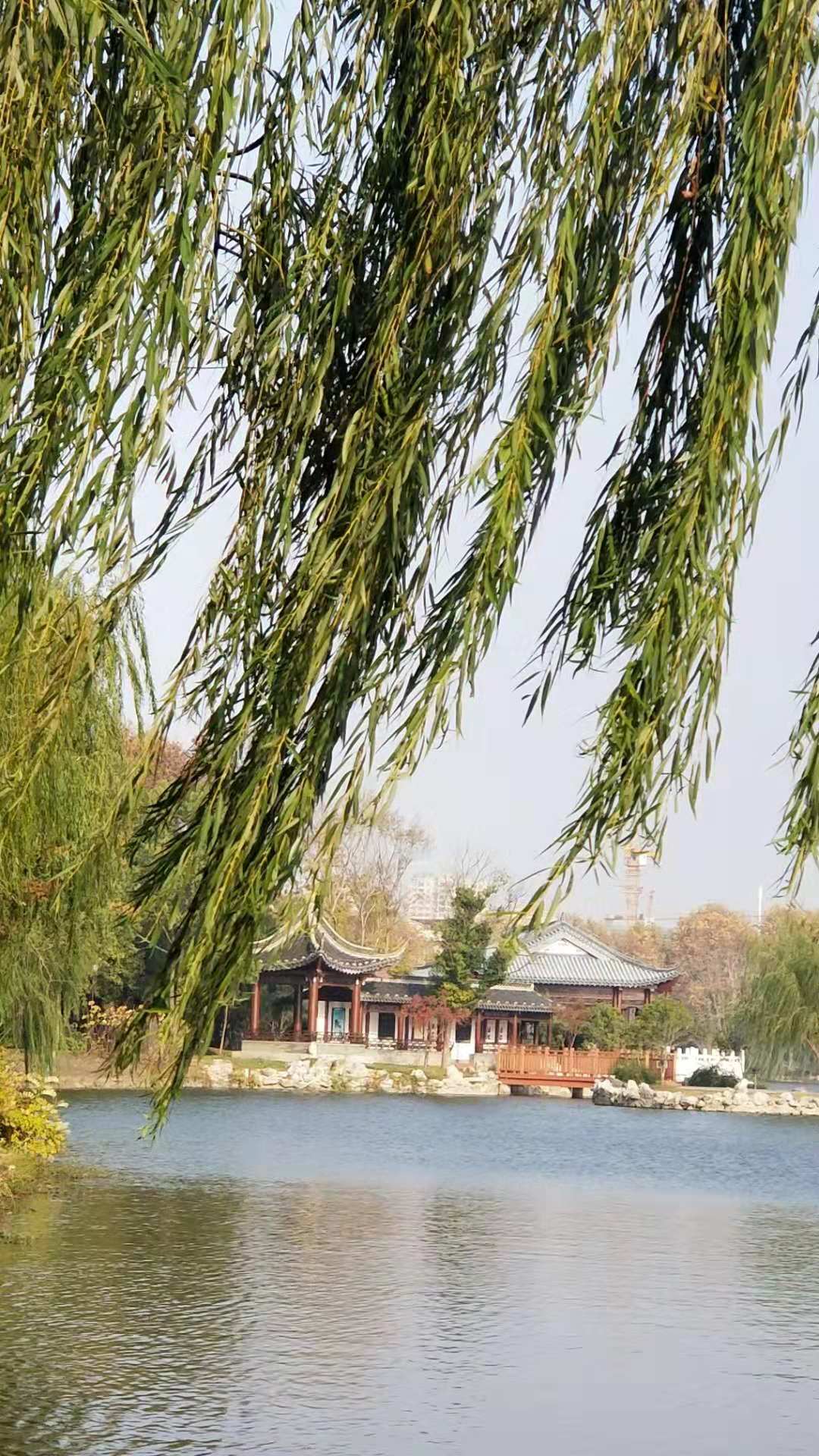 微信图片_20181208092310.jpg