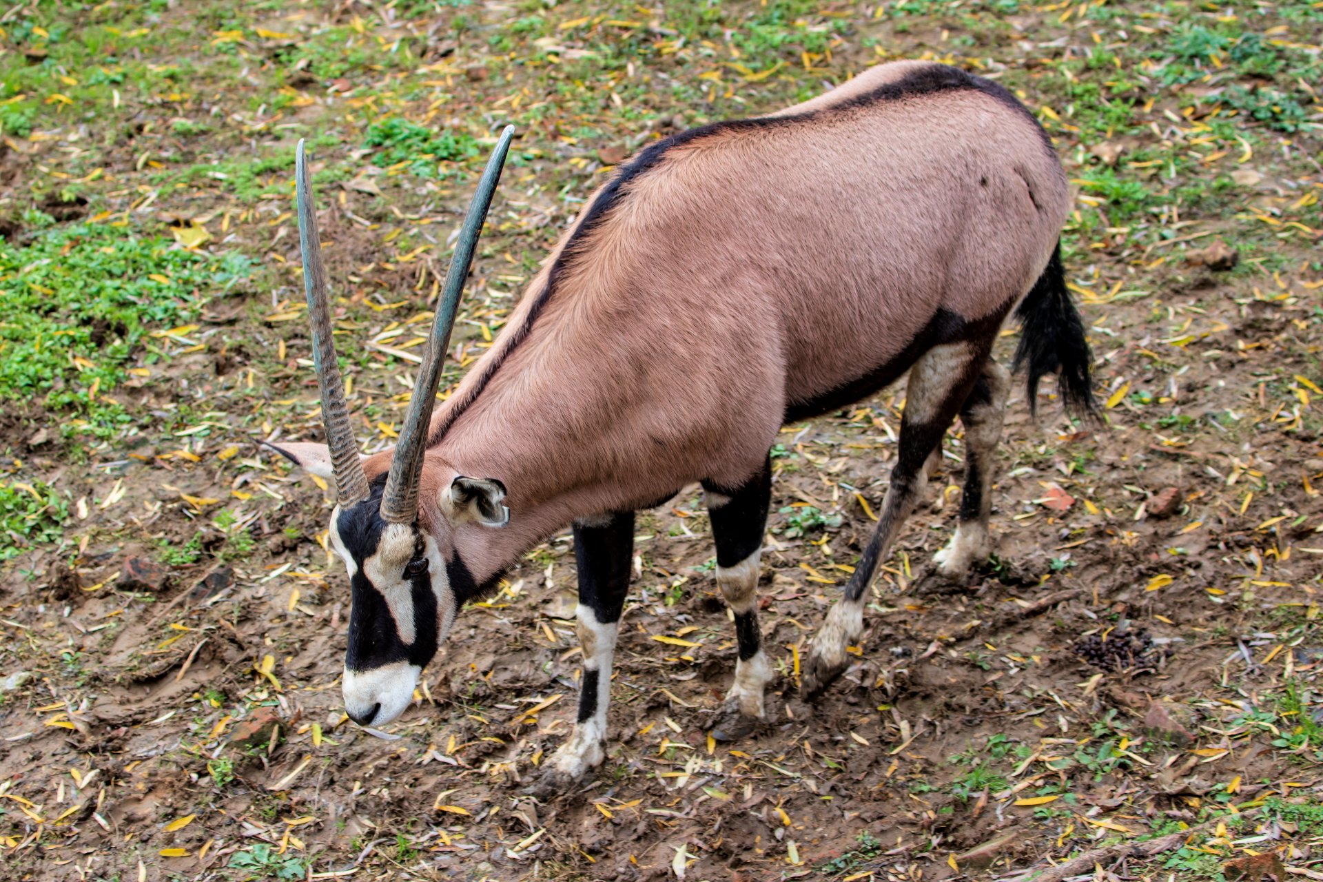 IMG_3197-编辑.JPG