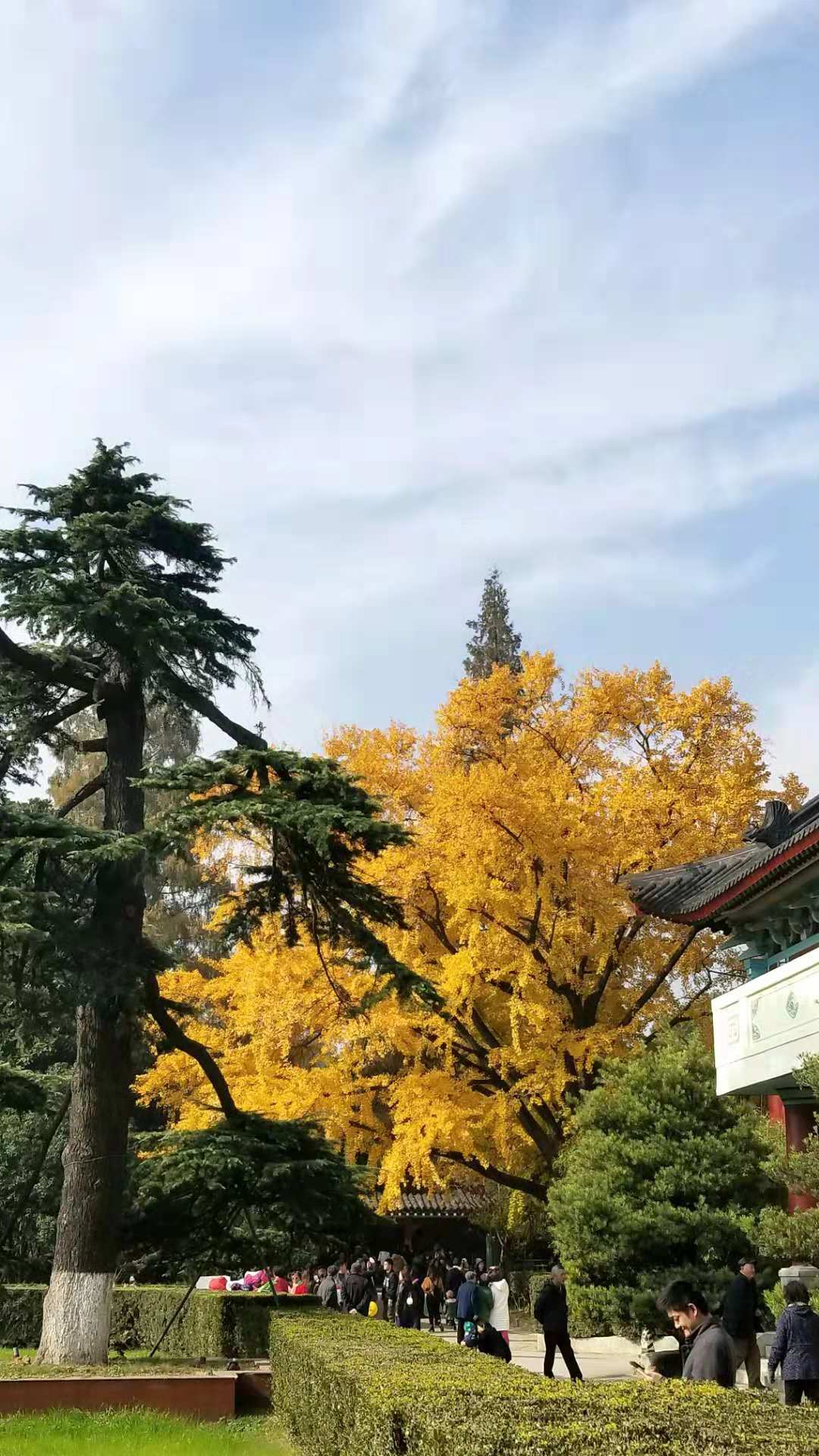 微信图片_20181208155349.jpg