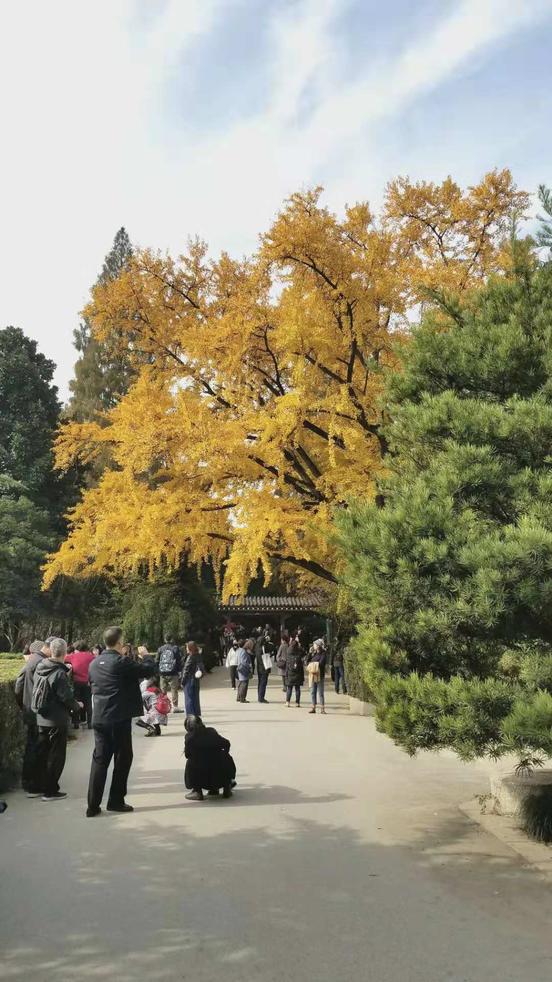 微信图片_20181208155344.jpg