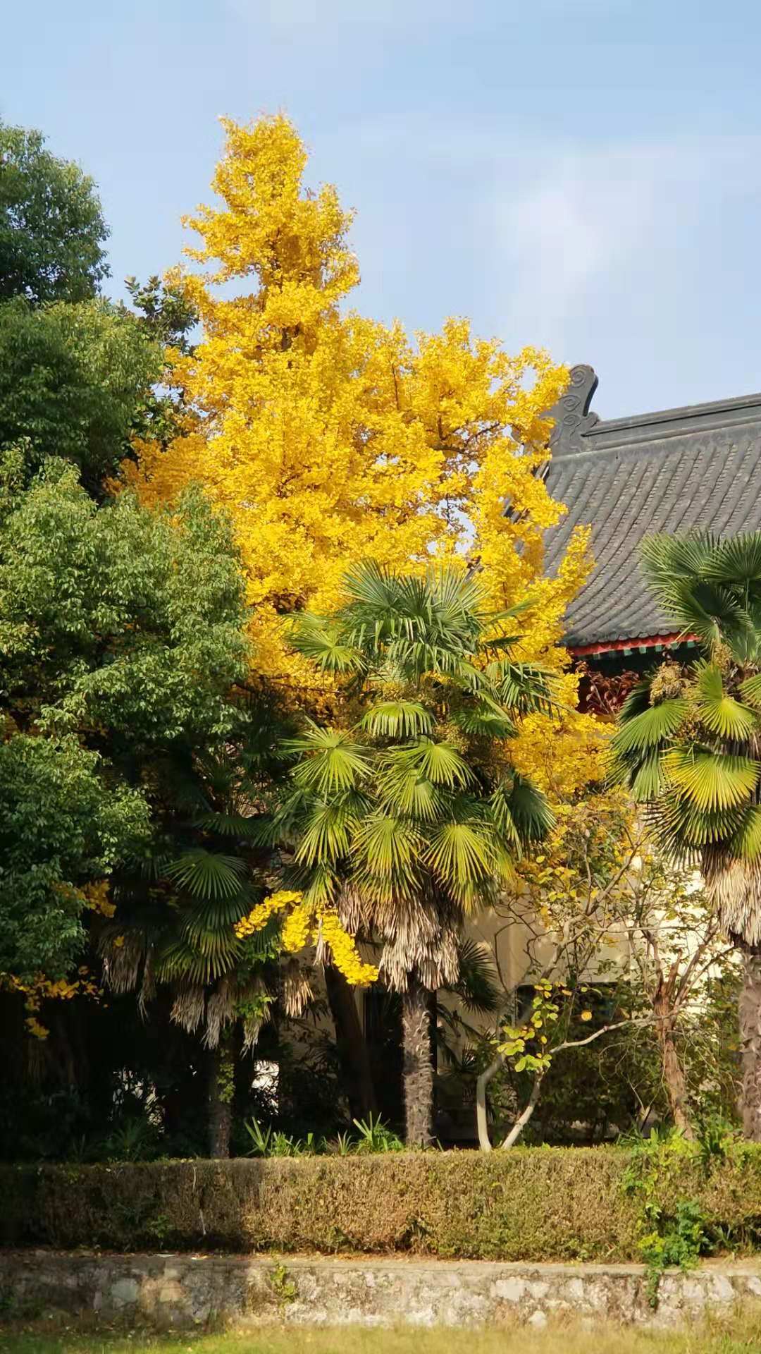 微信图片_20181208155318.jpg