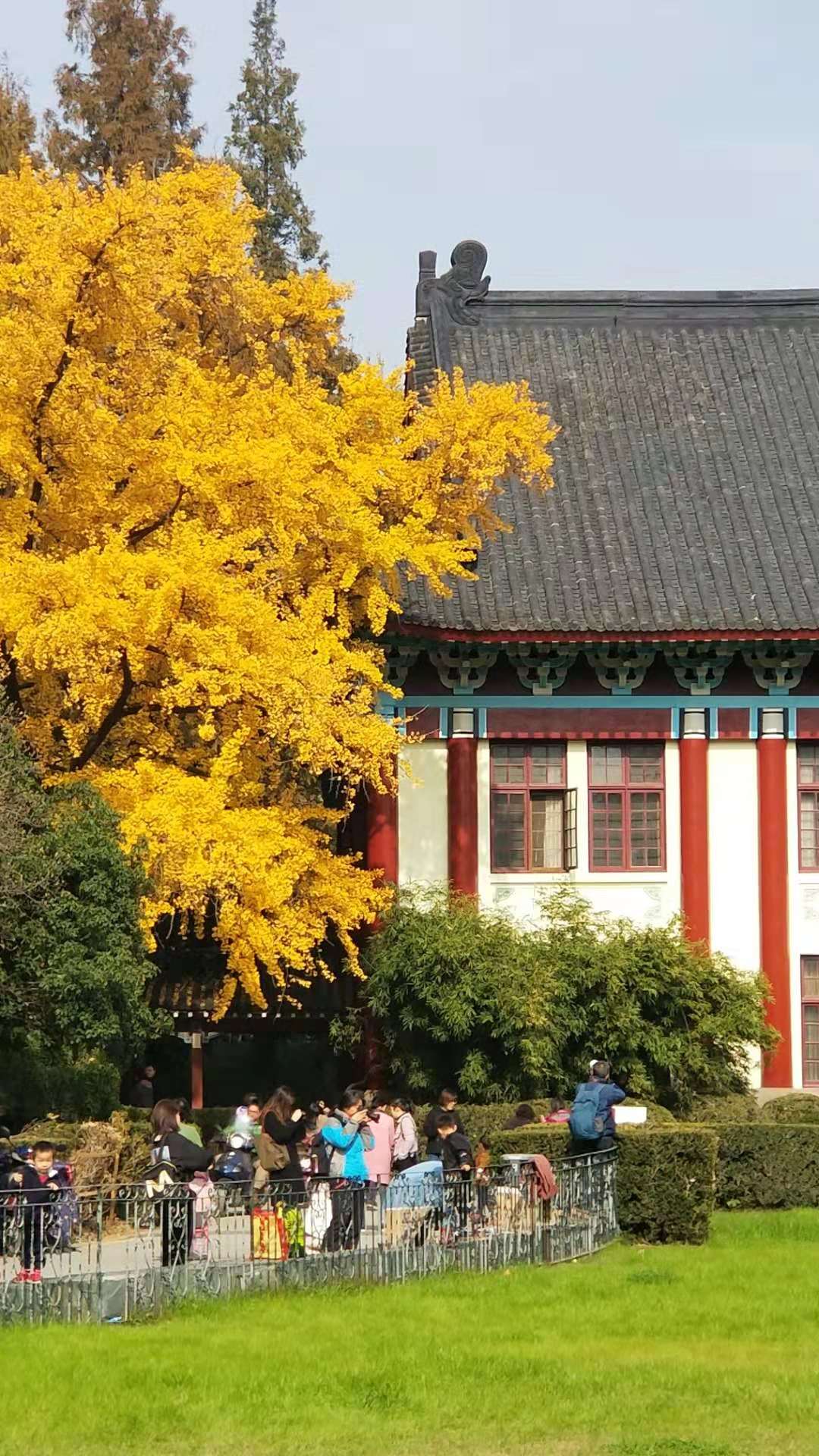 微信图片_20181208155031.jpg