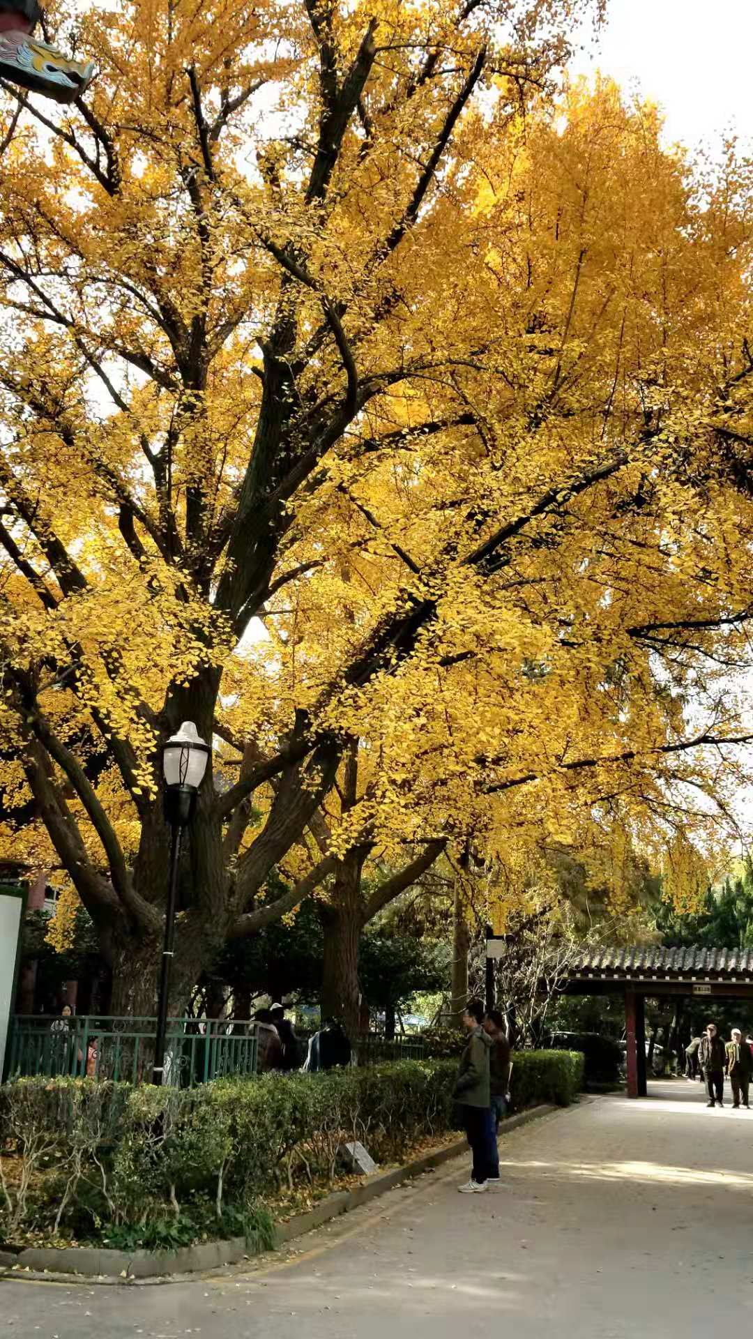 微信图片_20181208155040.jpg
