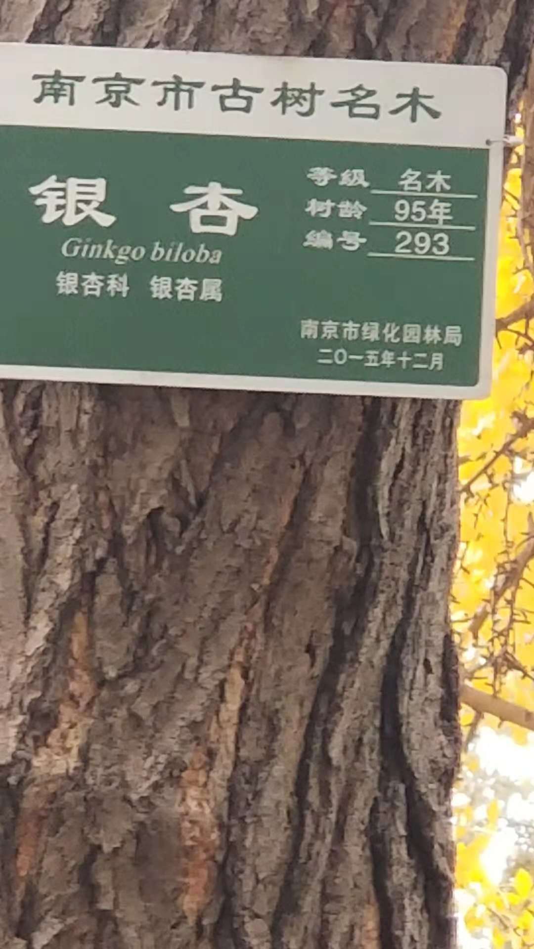 微信图片_20181208155204.jpg