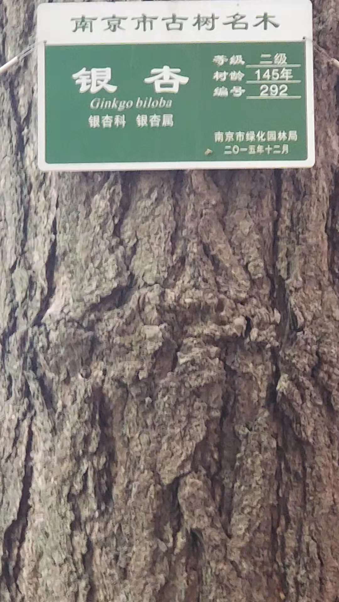 微信图片_20181208155215.jpg