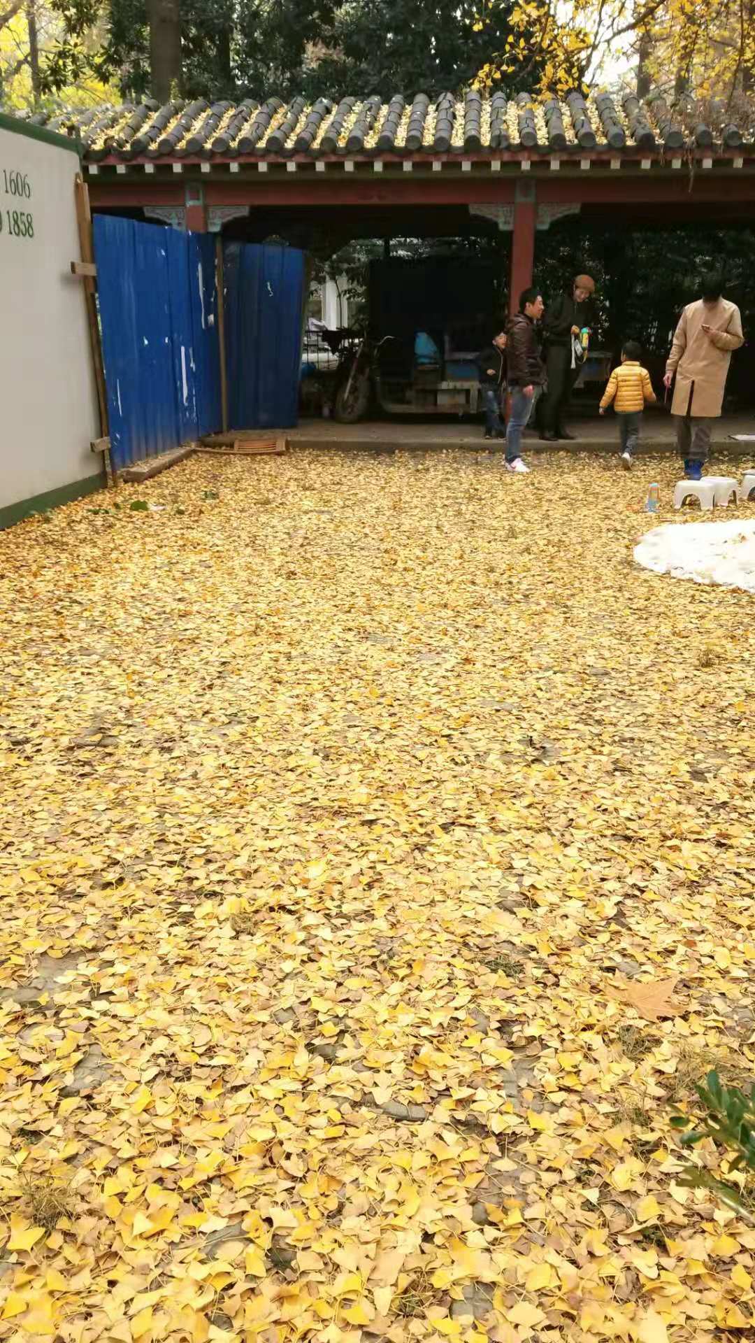微信图片_20181208155257.jpg