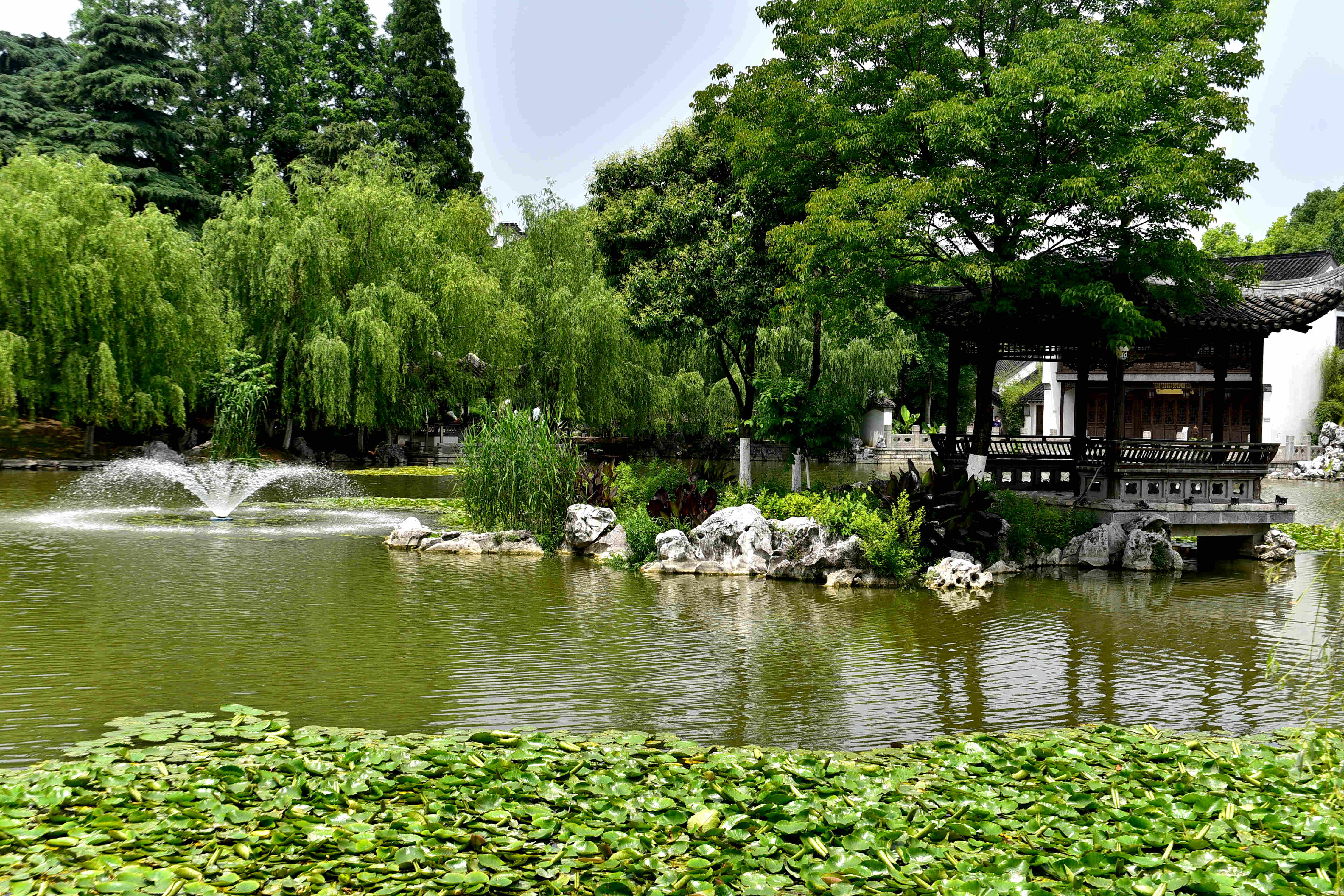 DSC_2307 g.jpg