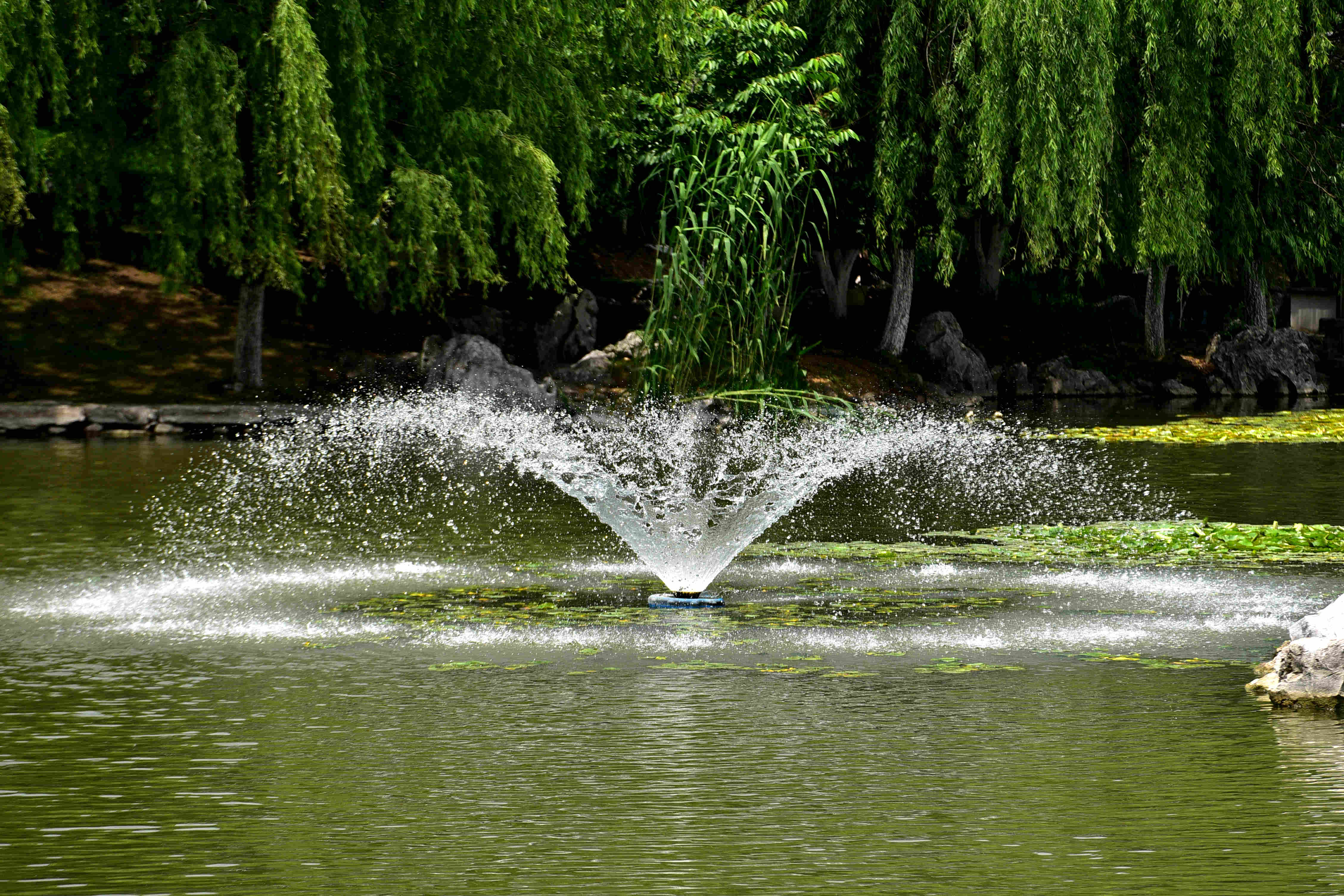 DSC_2308 g.jpg