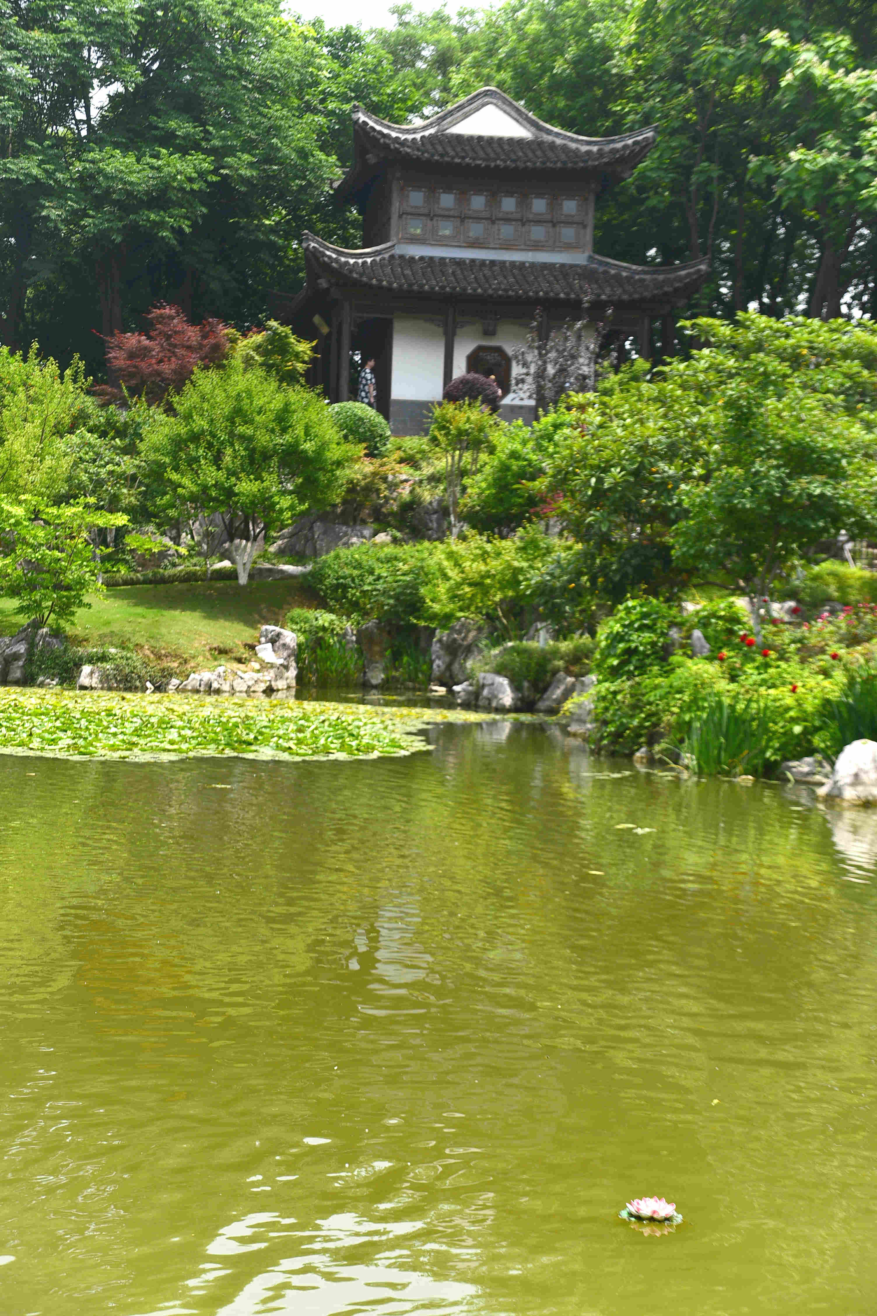 DSC_2352 g.jpg