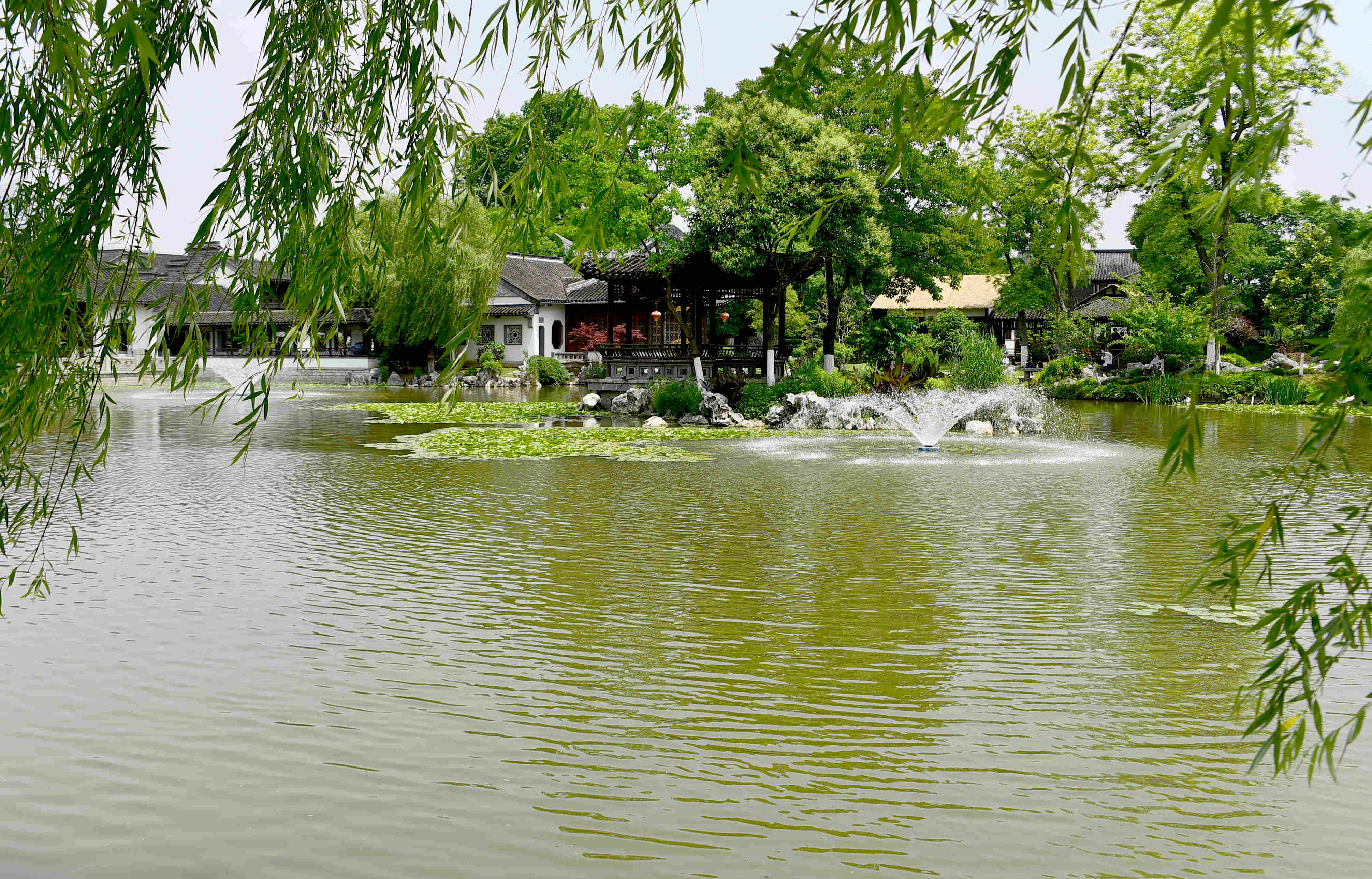 DSC_2357 g.jpg
