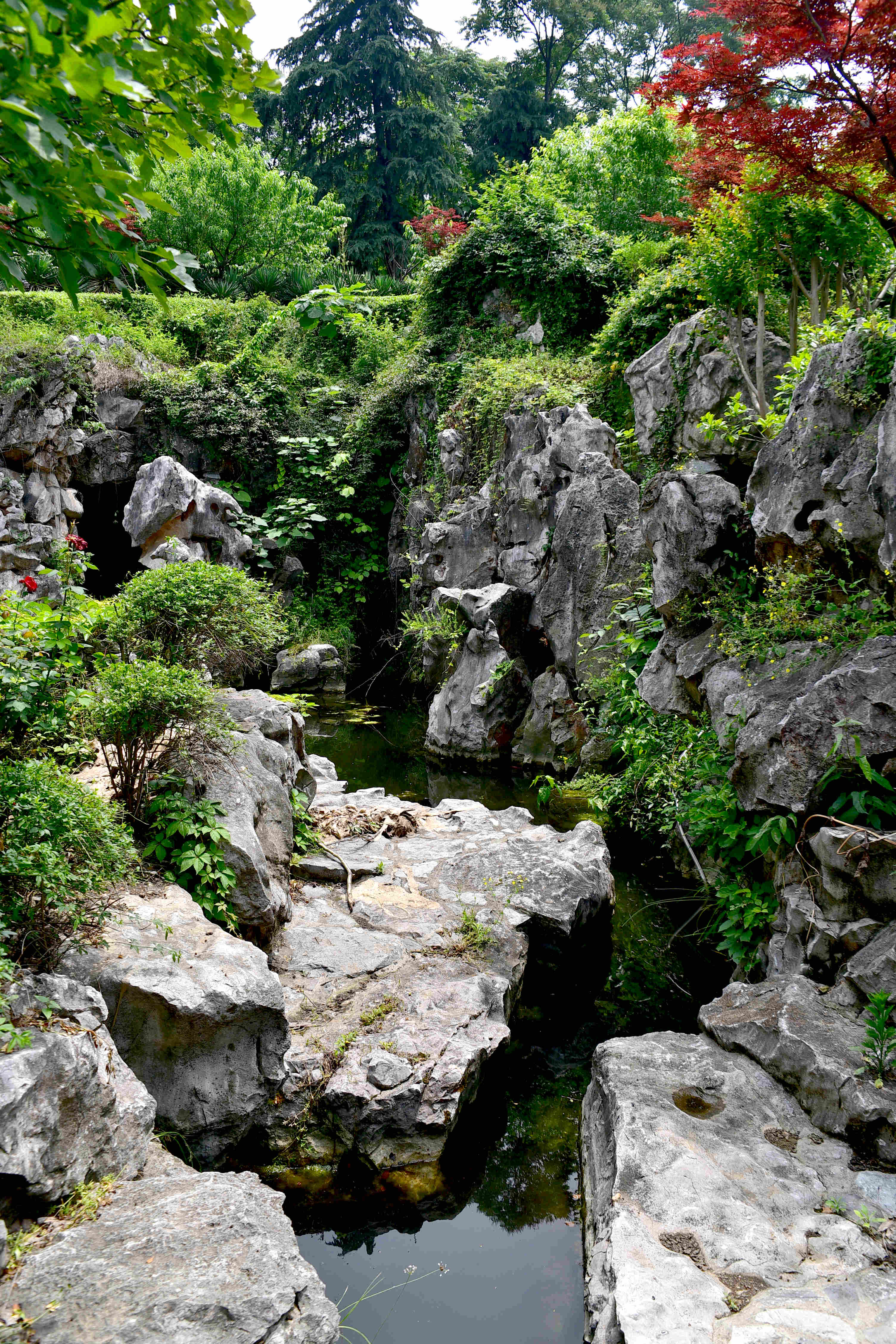 DSC_2332 g.jpg