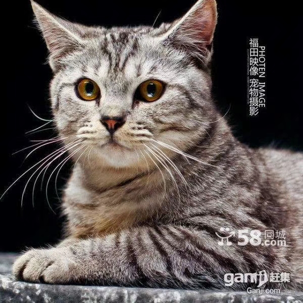 微信图片_20181215132225.jpg