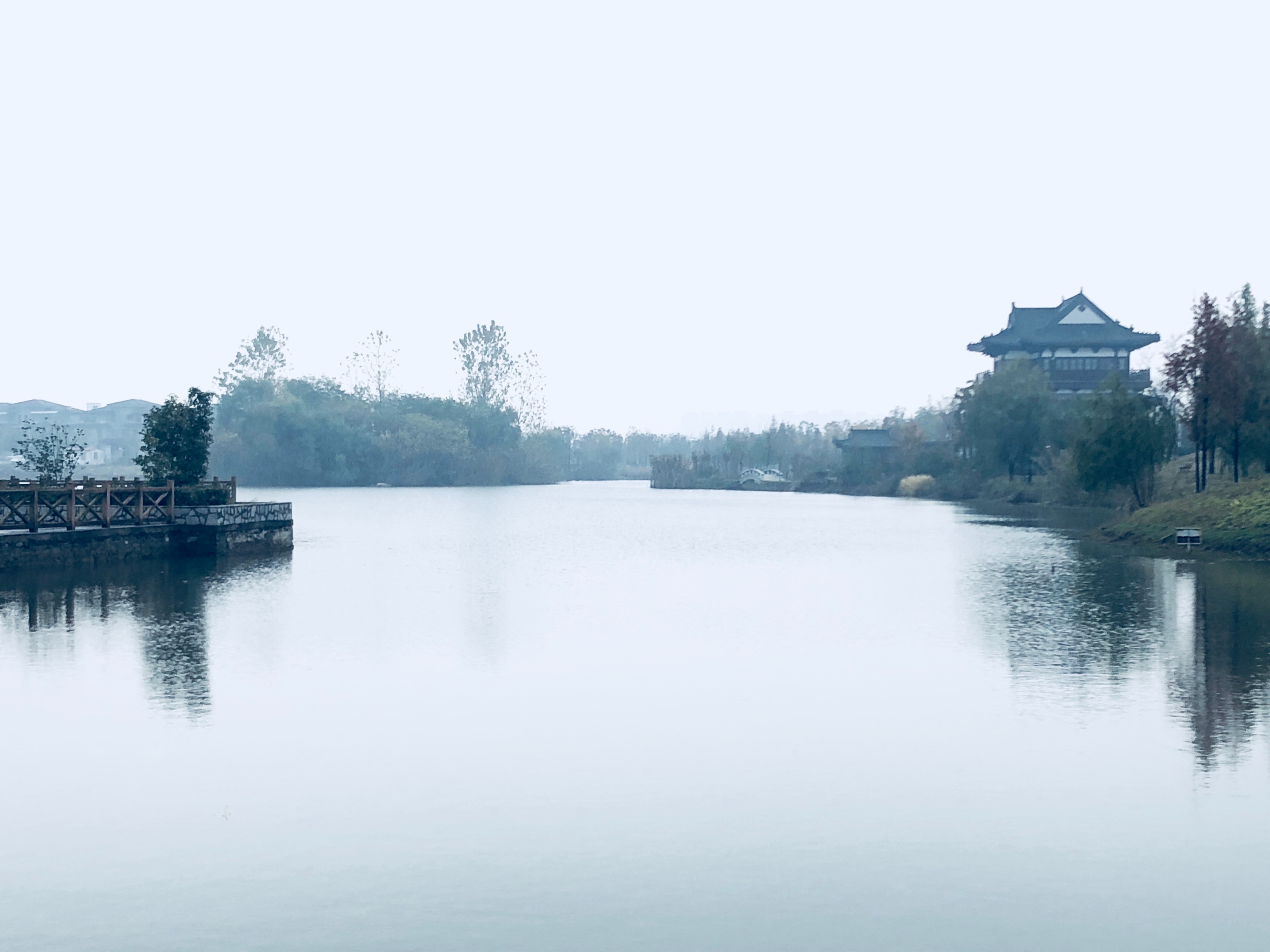 12987E47-CA2F-4C31-8E0A-76A052481C50.jpeg