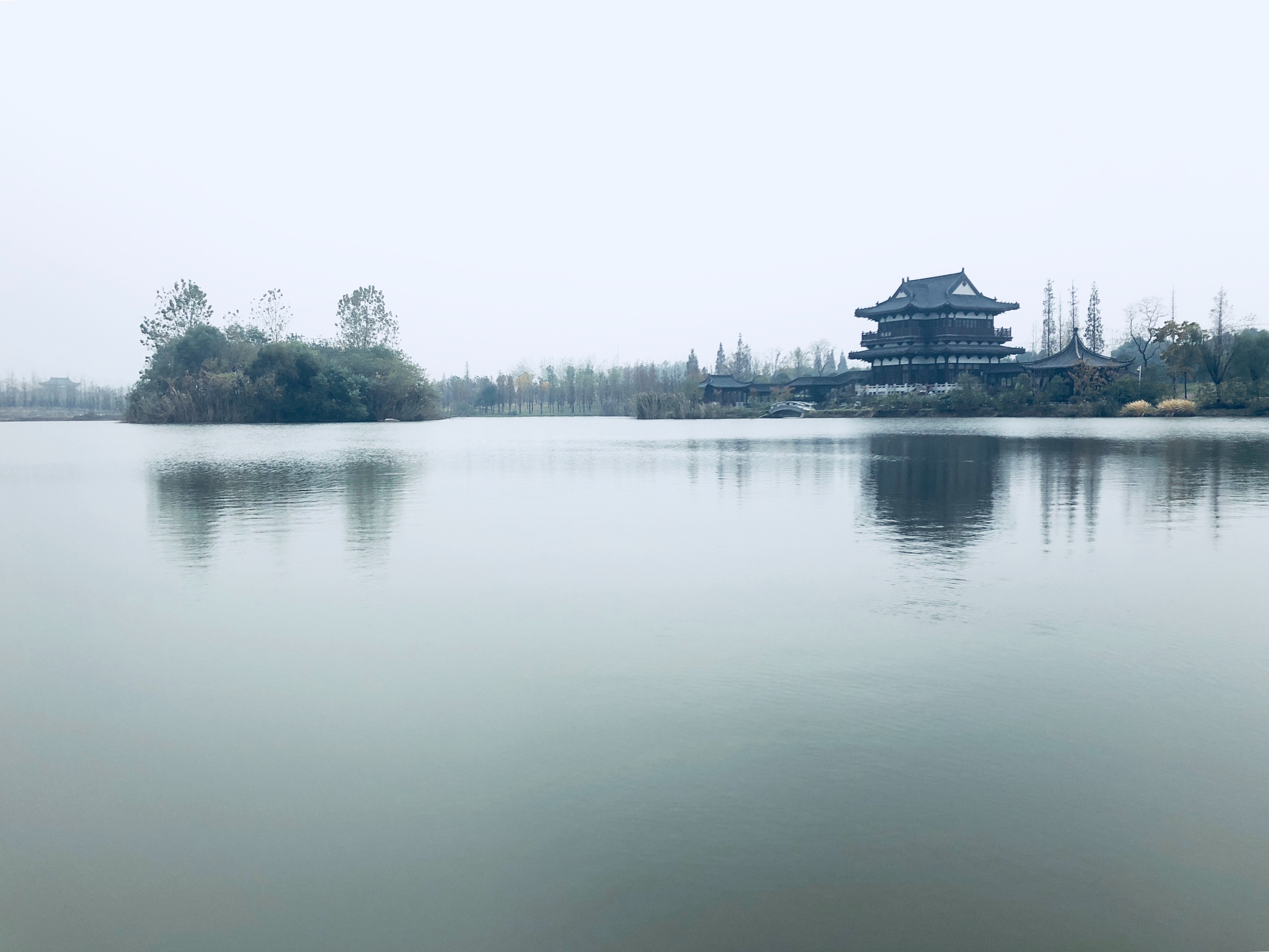 12987E47-CA2F-4C31-8E0A-76A052481C50.jpeg
