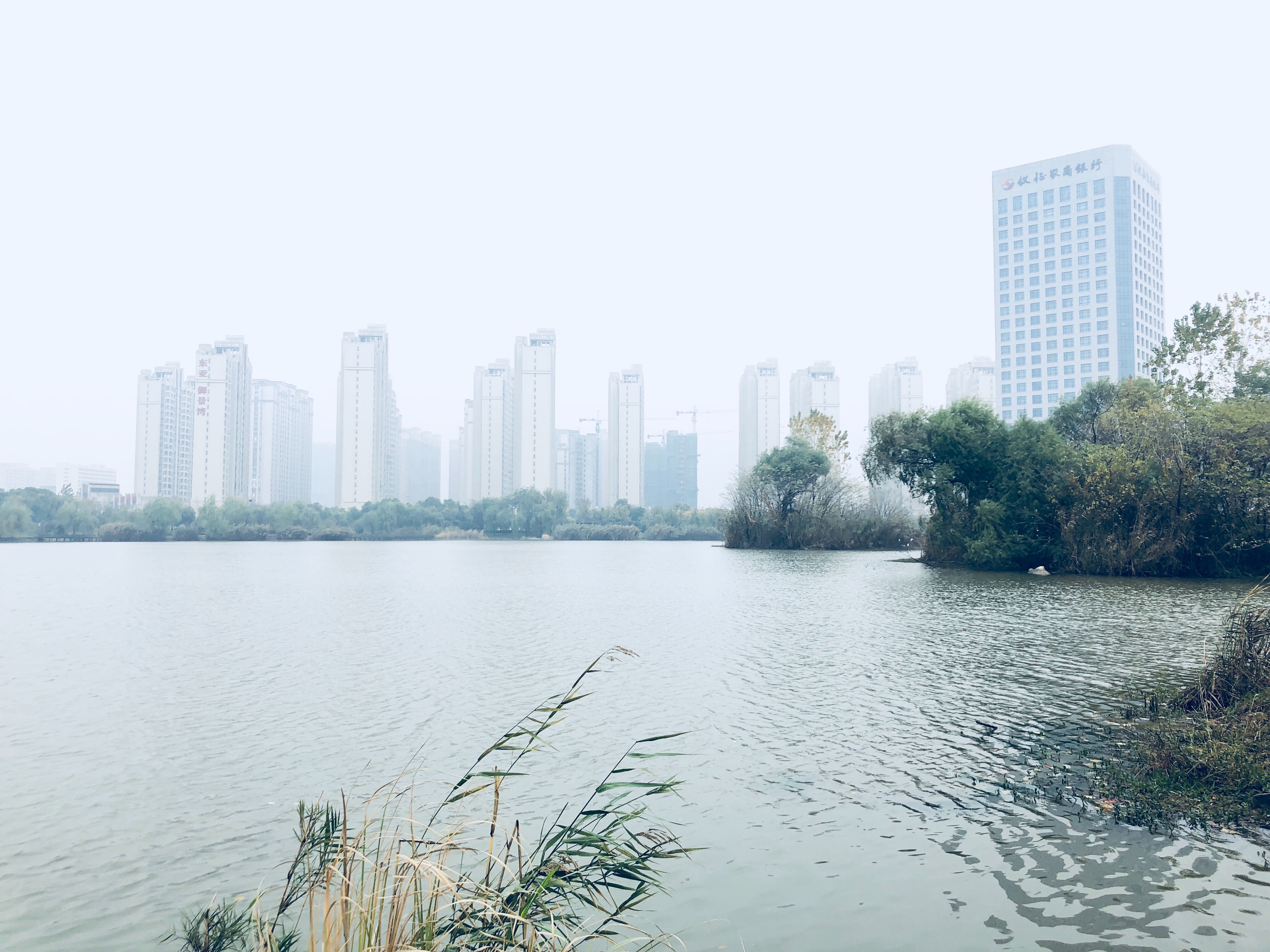 12987E47-CA2F-4C31-8E0A-76A052481C50.jpeg