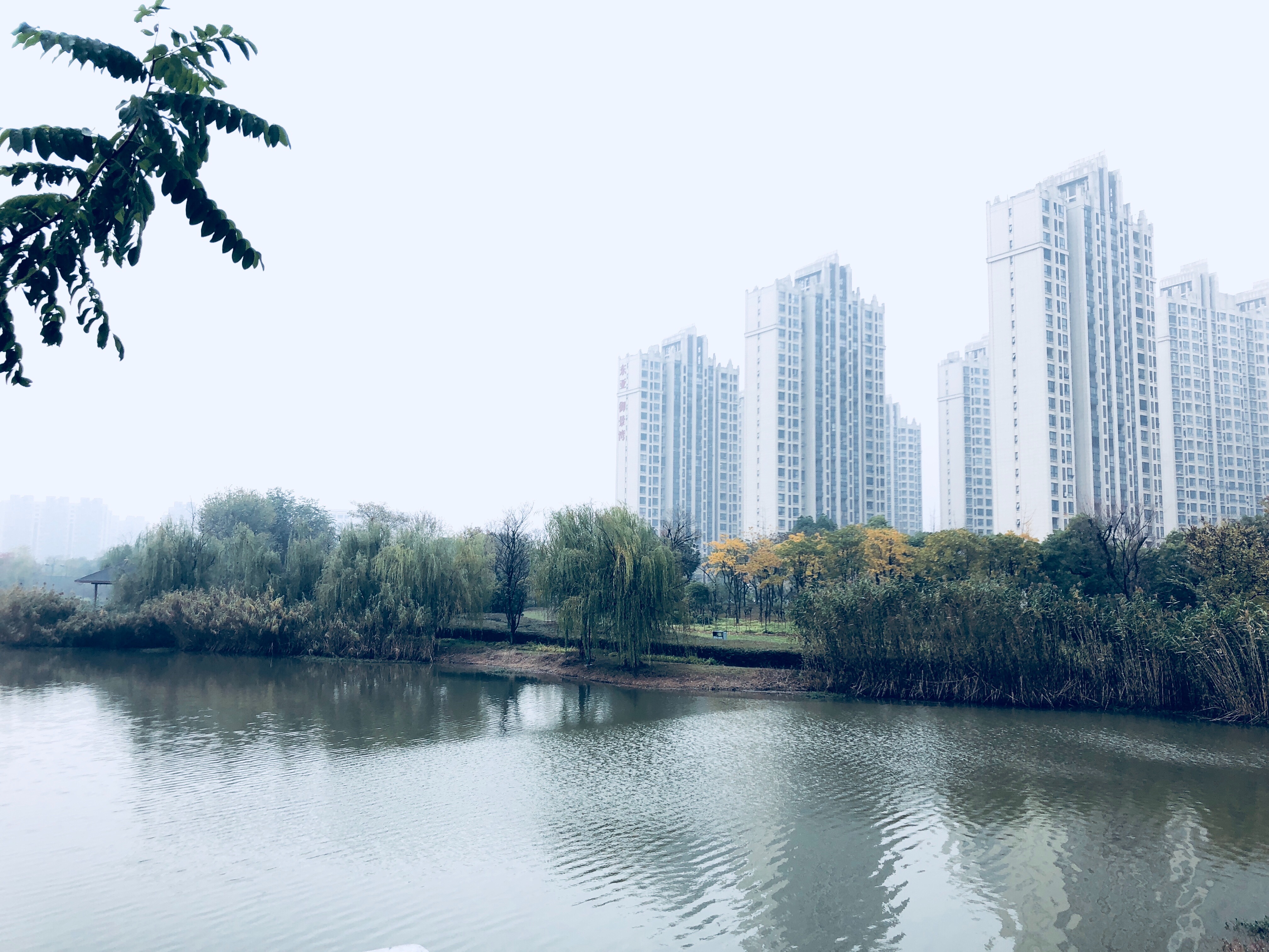 12987E47-CA2F-4C31-8E0A-76A052481C50.jpeg