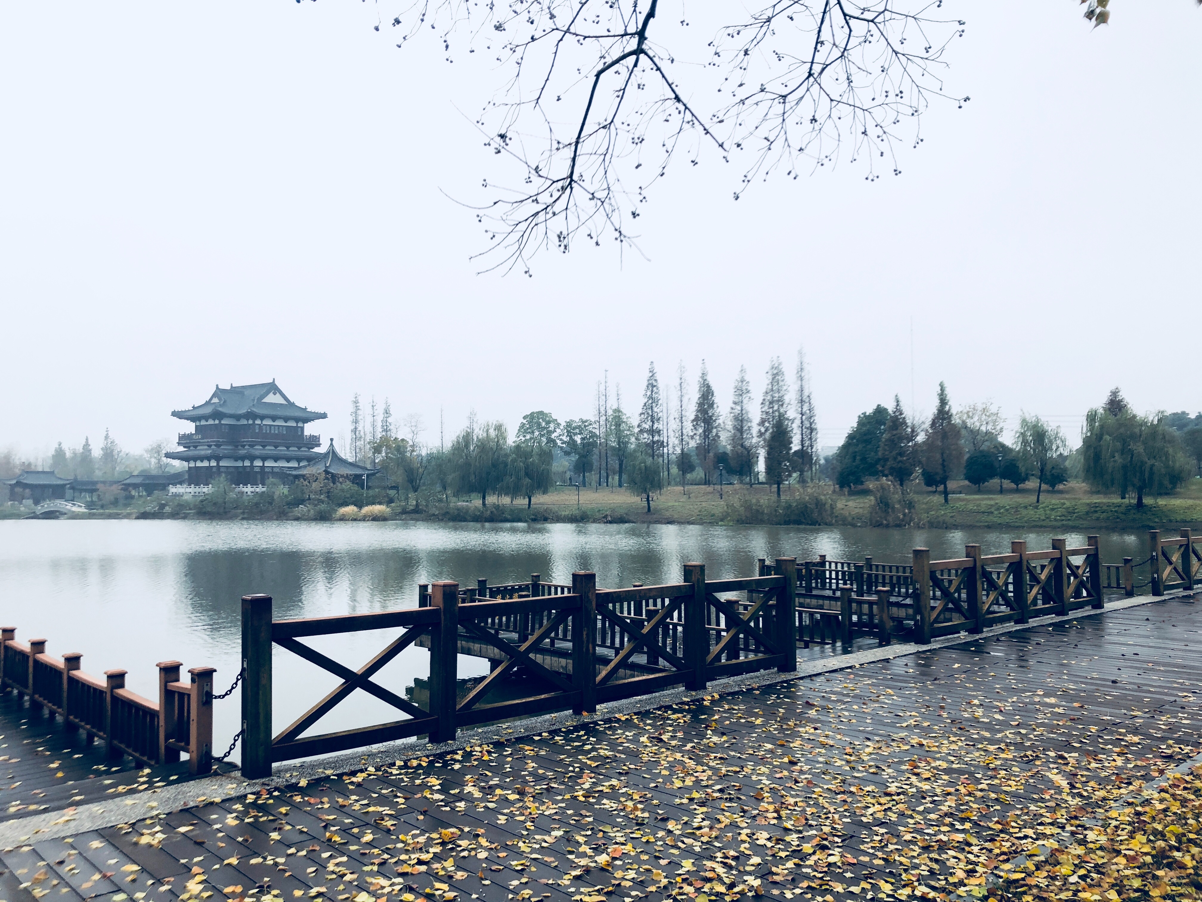 12987E47-CA2F-4C31-8E0A-76A052481C50.jpeg