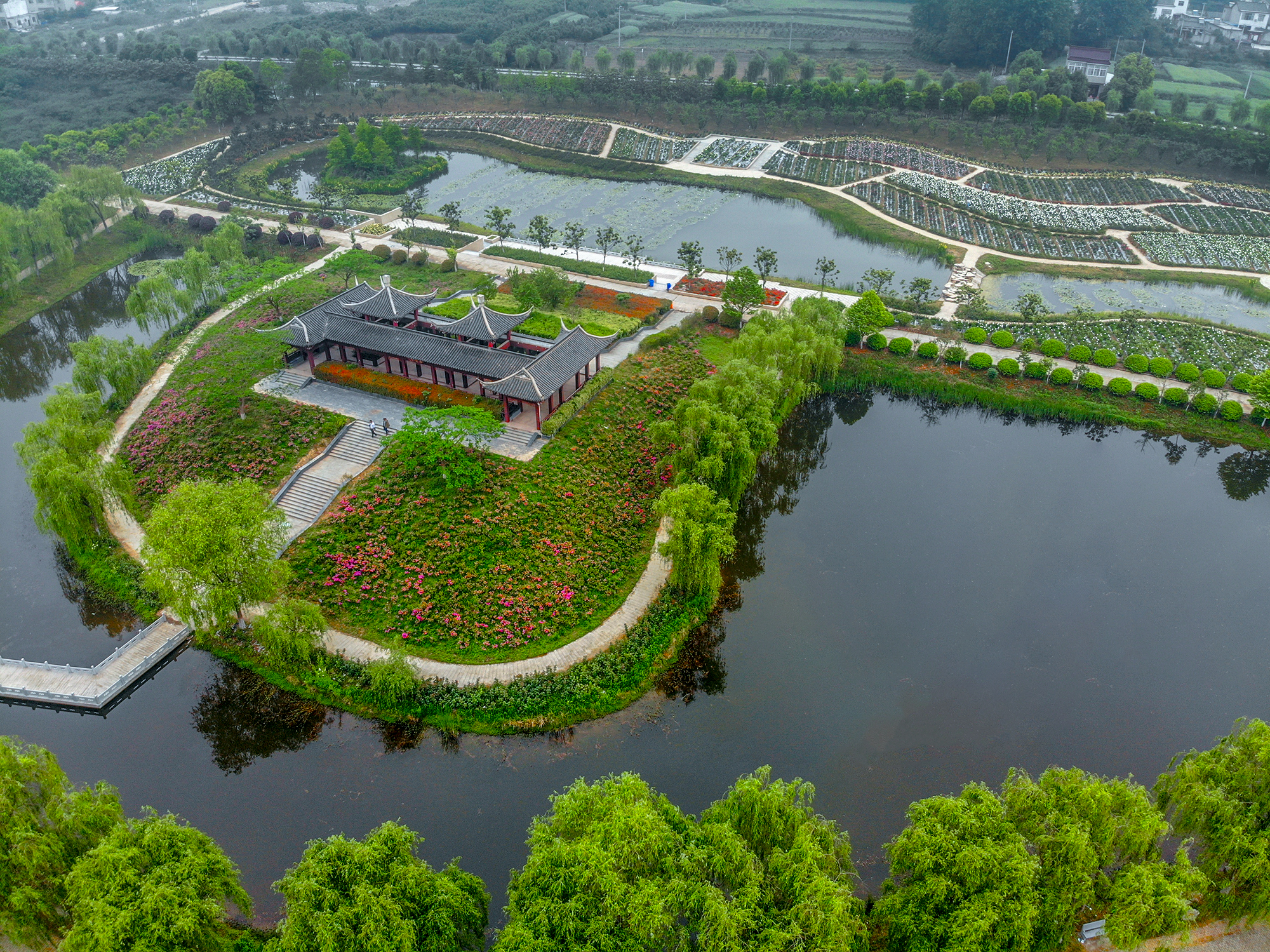 空中芍药园