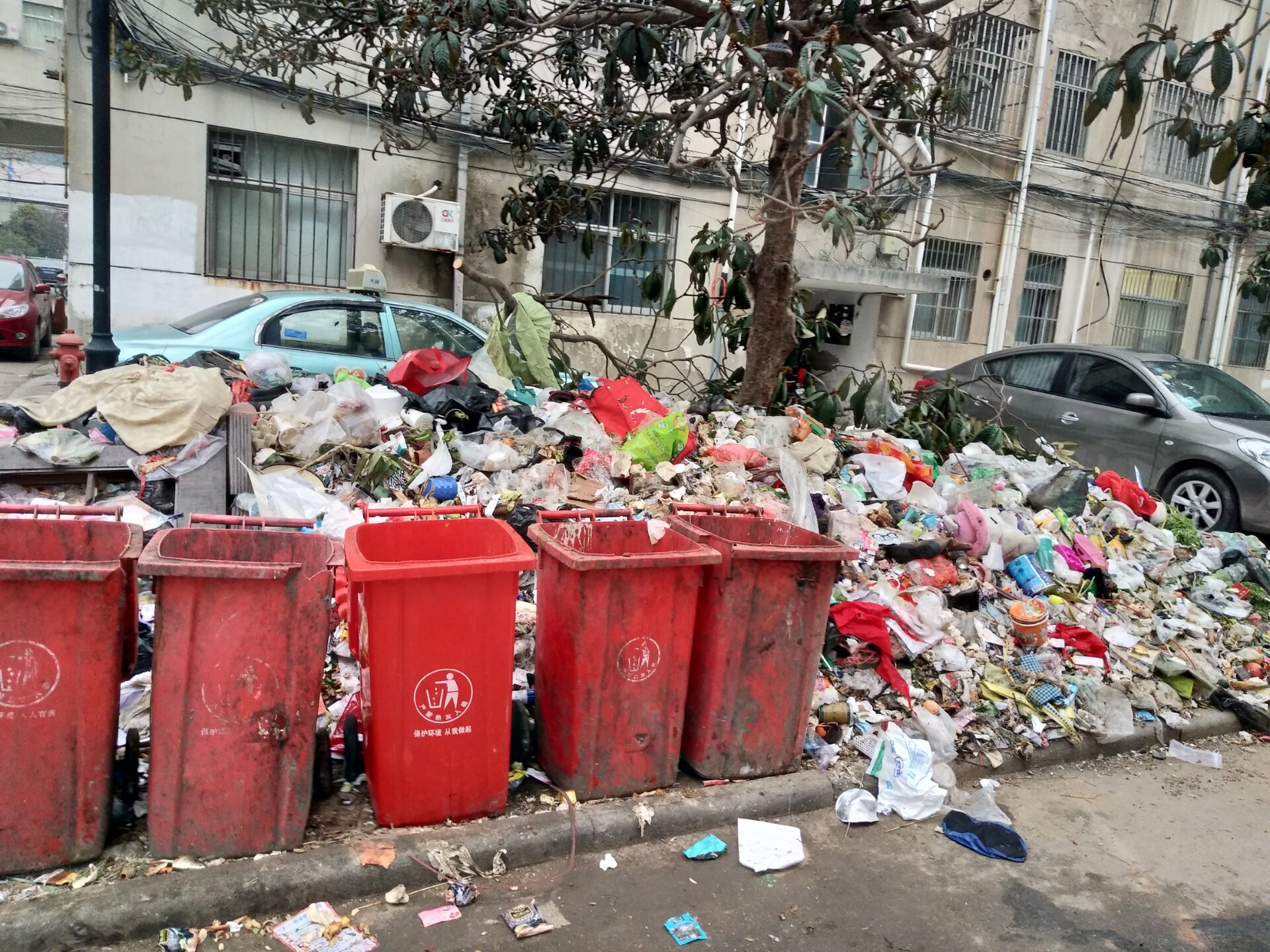 QQ图片20190130092955.jpg