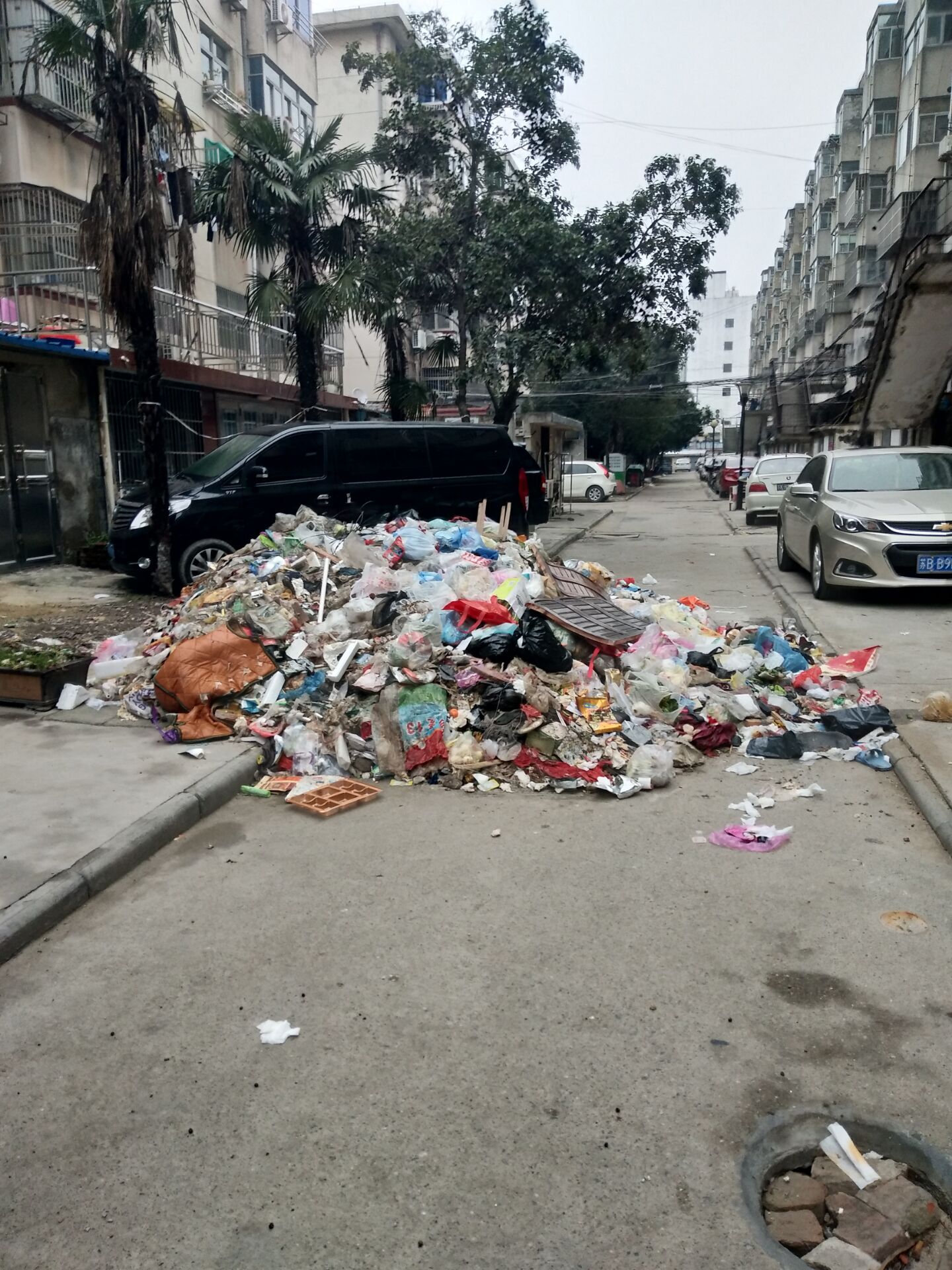 QQ图片20190130093008.jpg