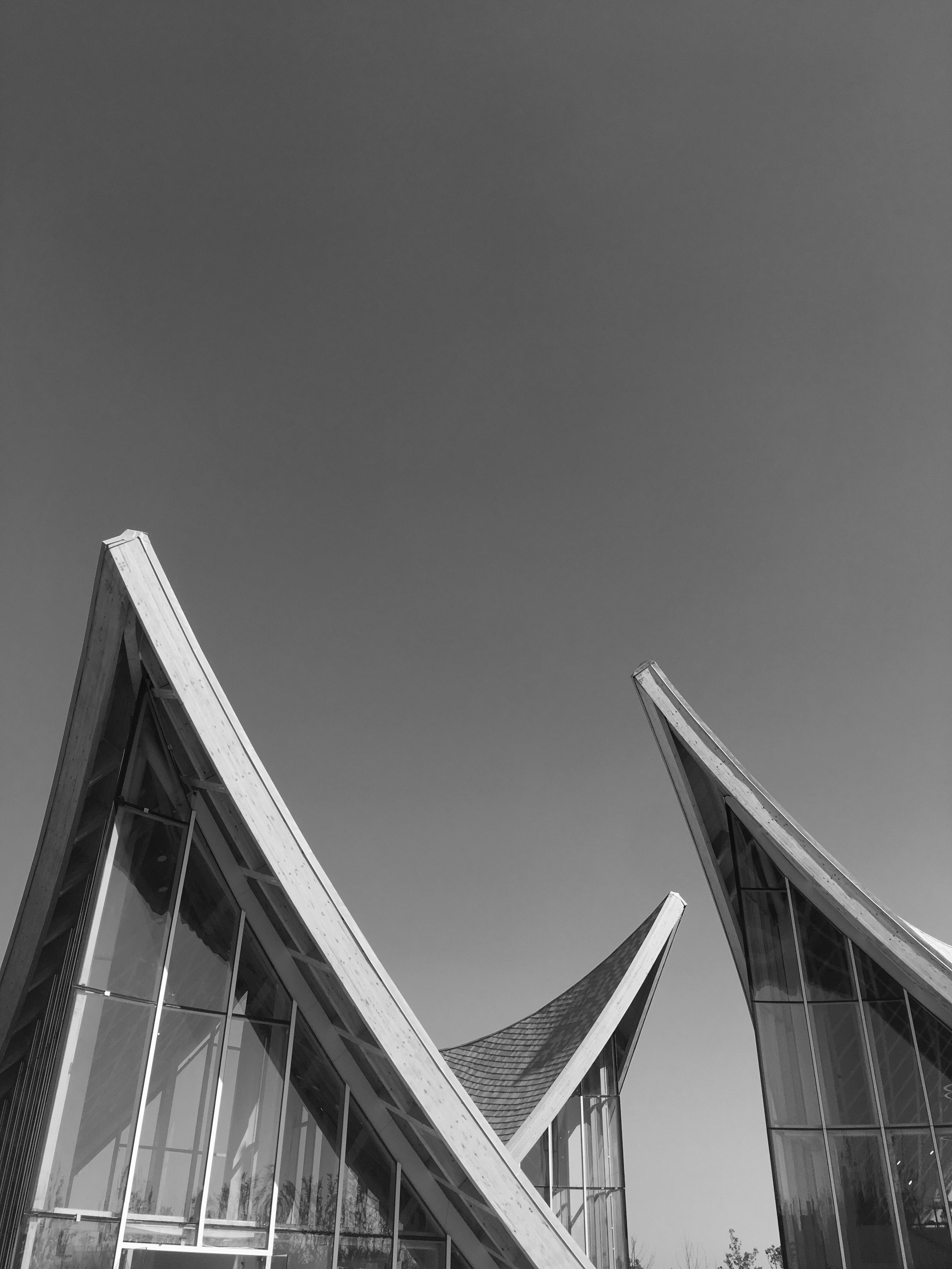 7DC0395E-90F2-4CA8-A365-79CE75F8049A.jpeg