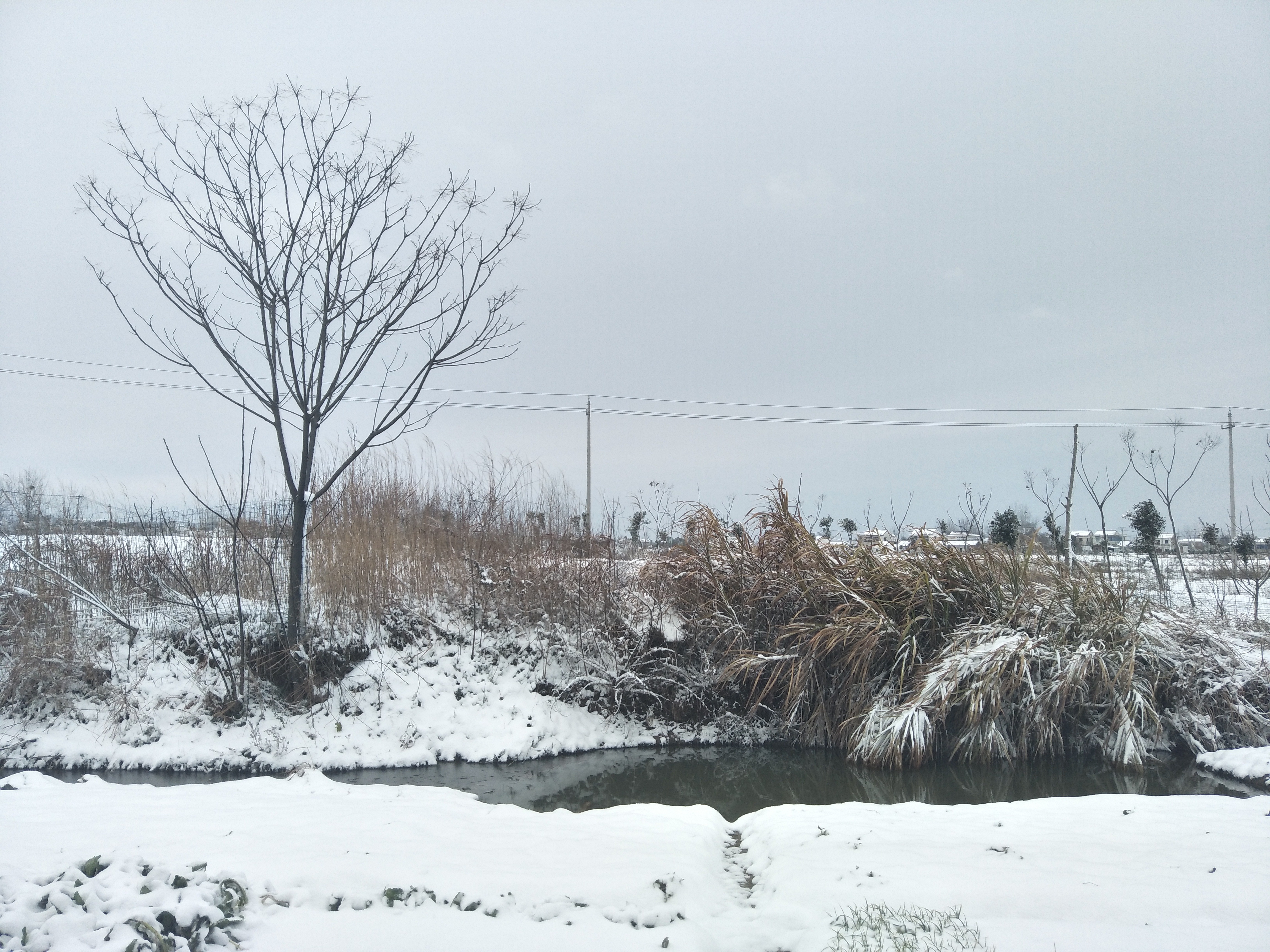 IMG20190208083648.jpg