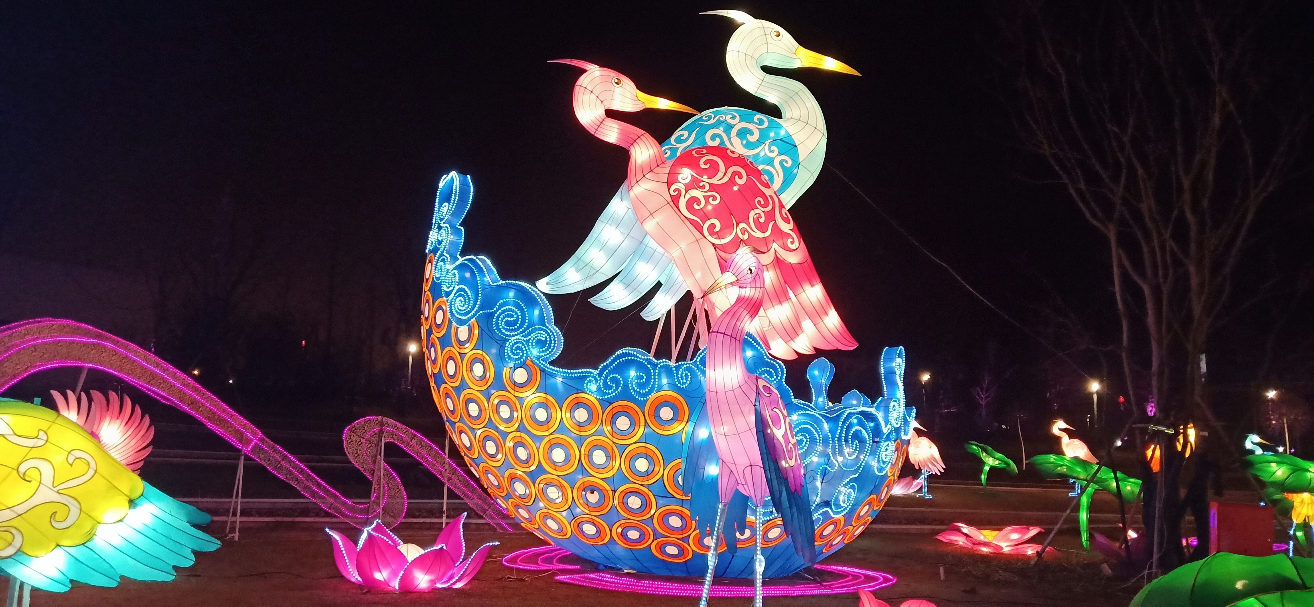 IMG20190205205532.jpg