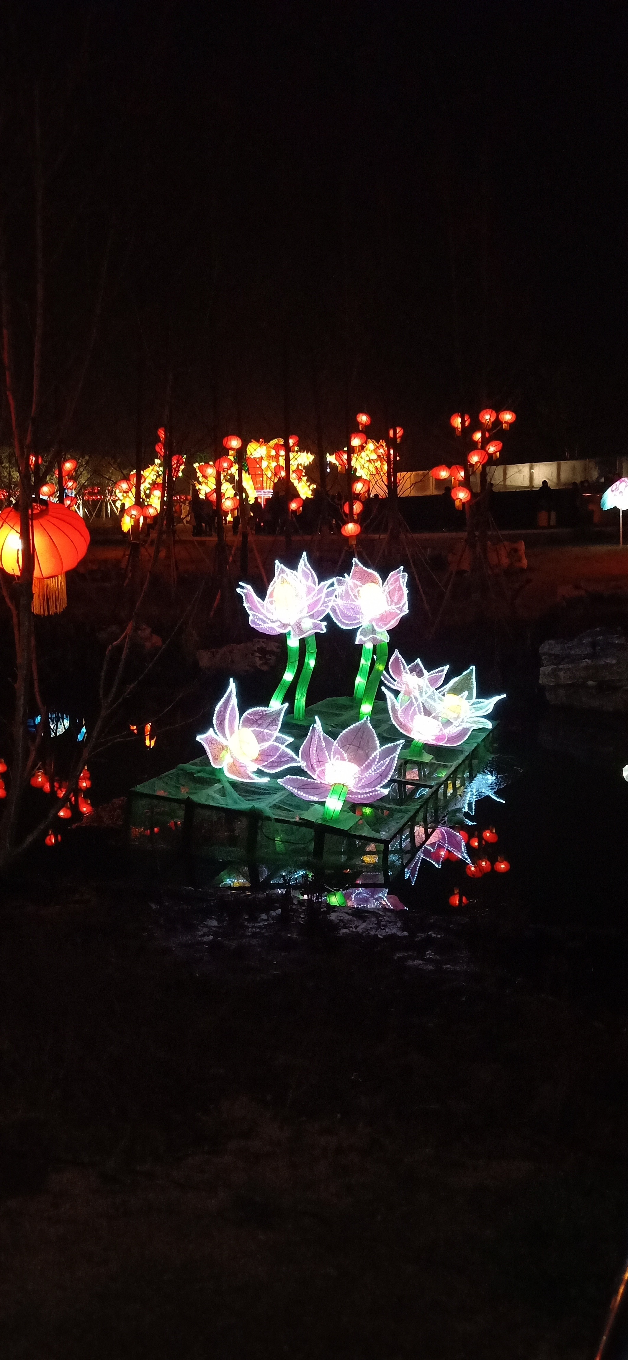 IMG20190205202908.jpg