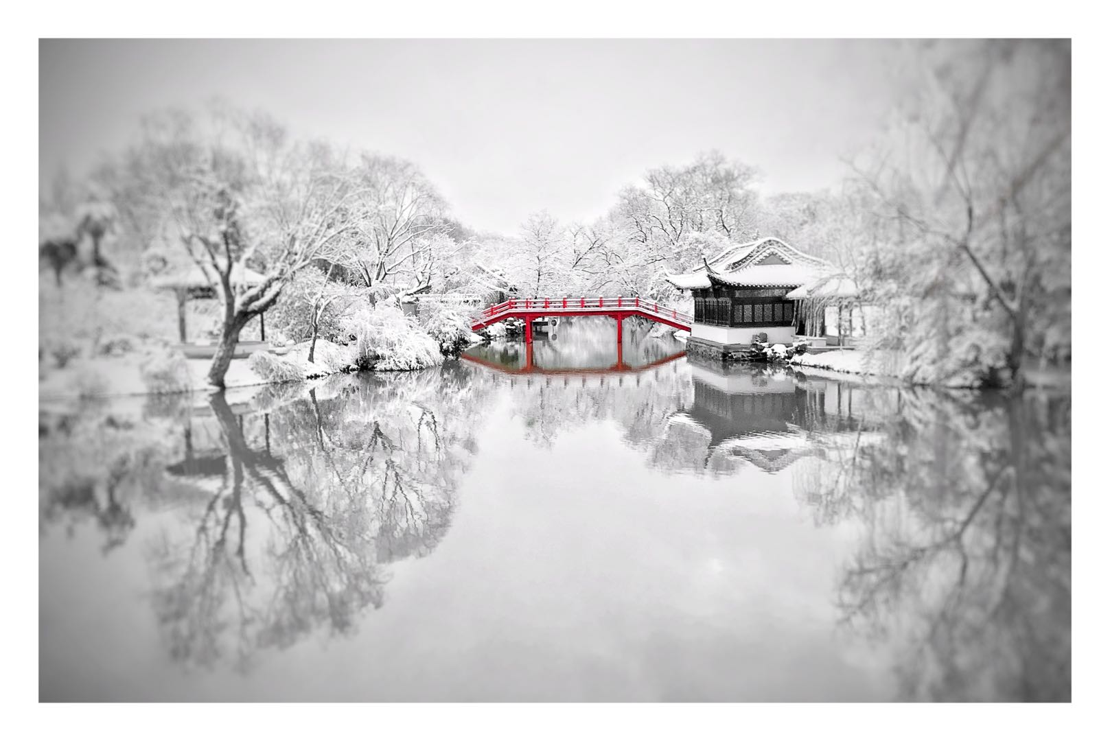 微信图片_20190211153423.jpg