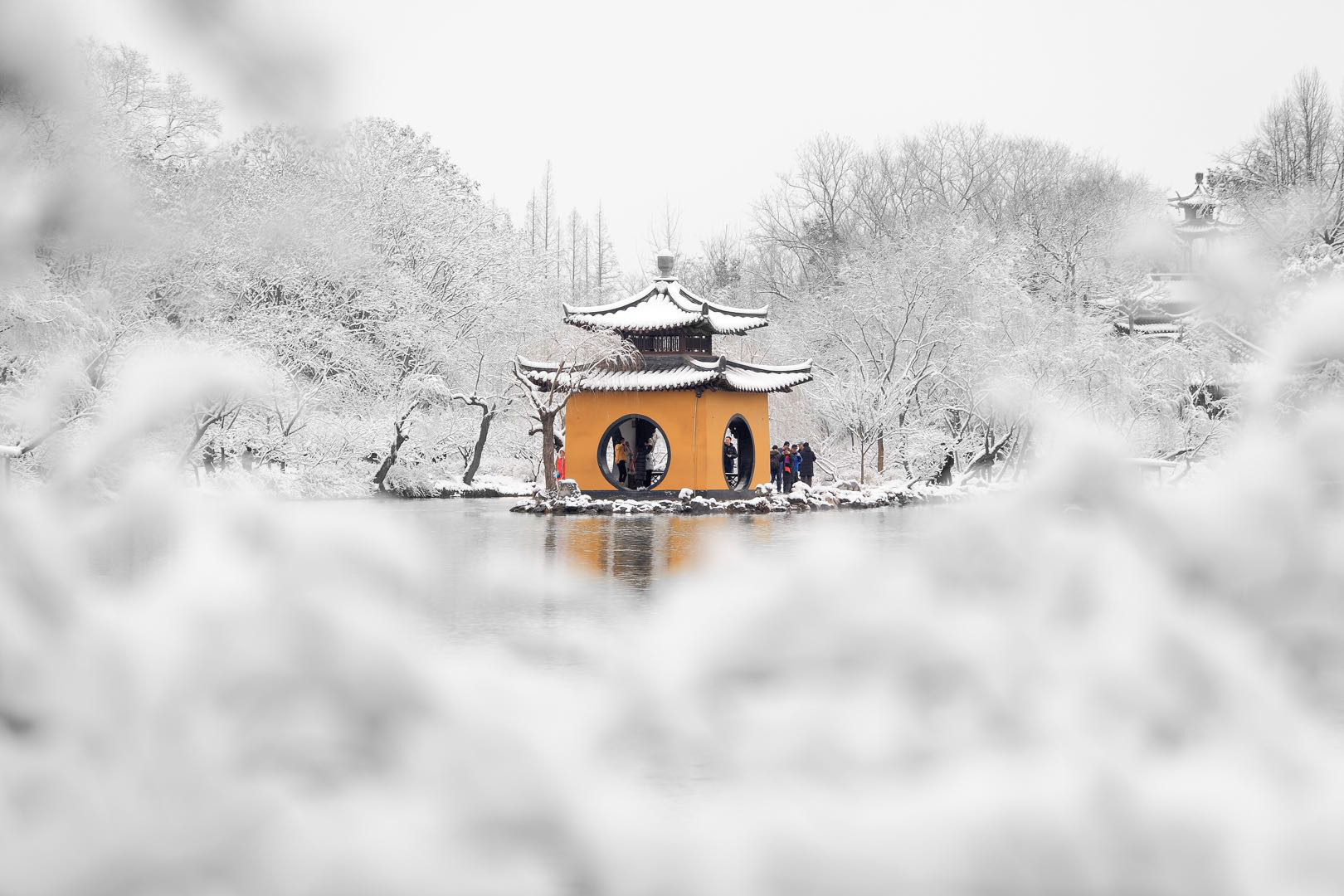 微信图片_20190211154024.jpg