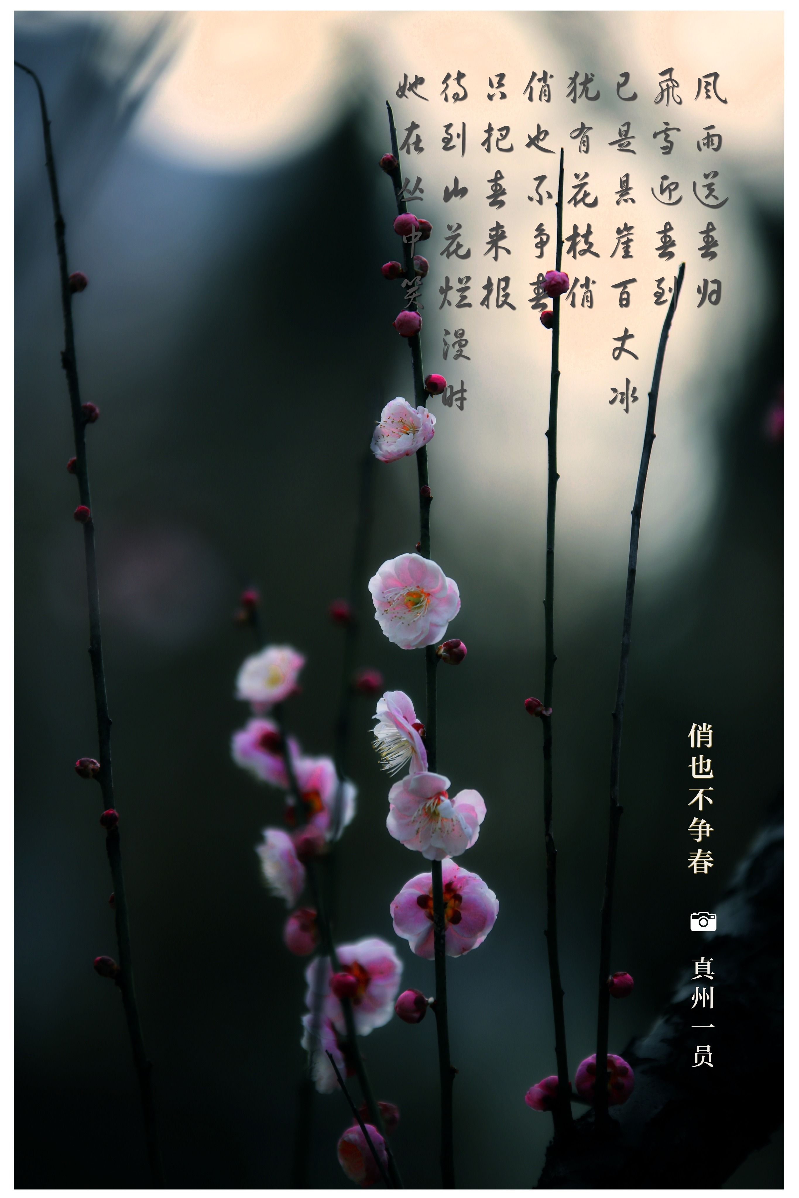 _MG_8505_mix01.jpg