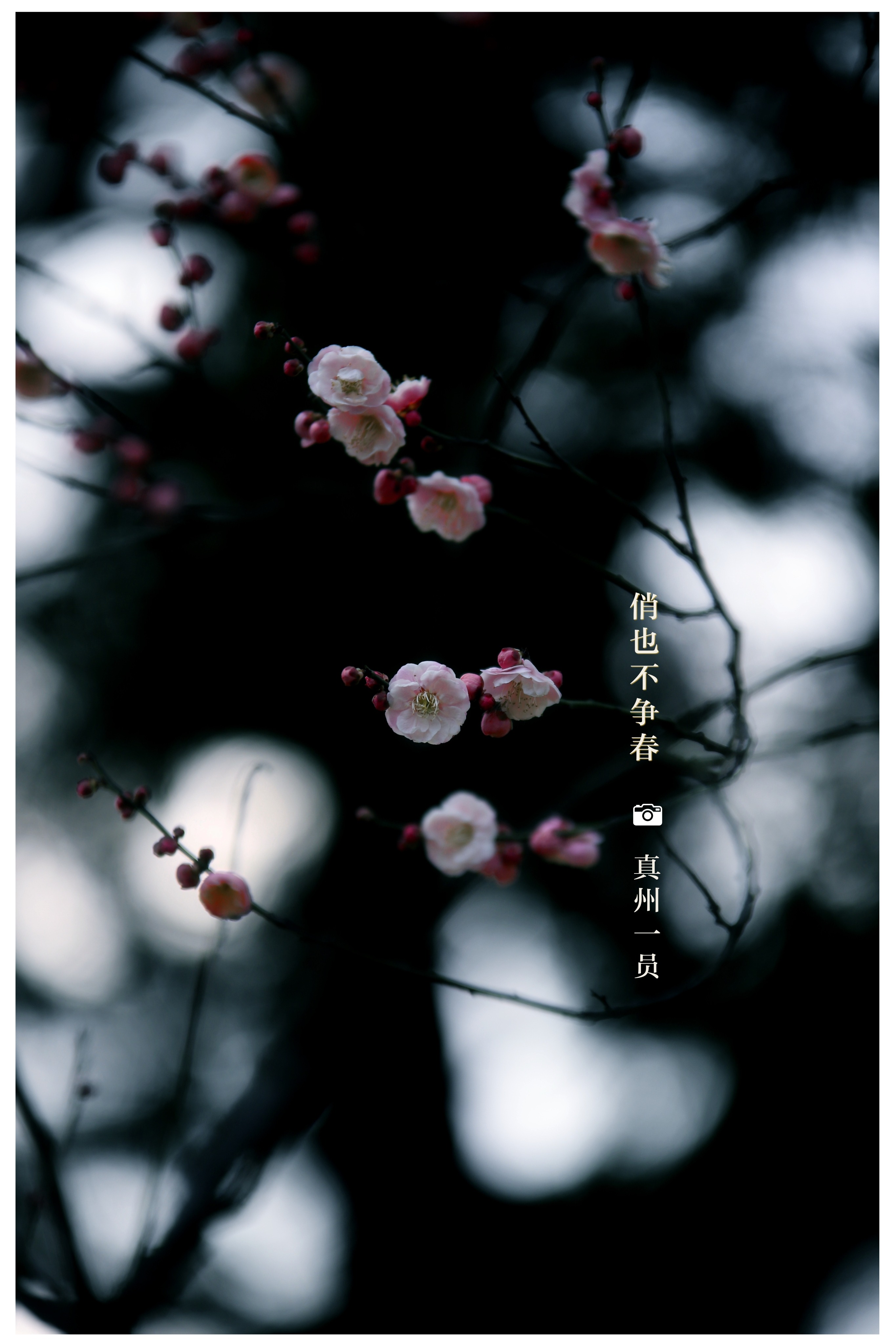 _MG_8510_mix01.jpg